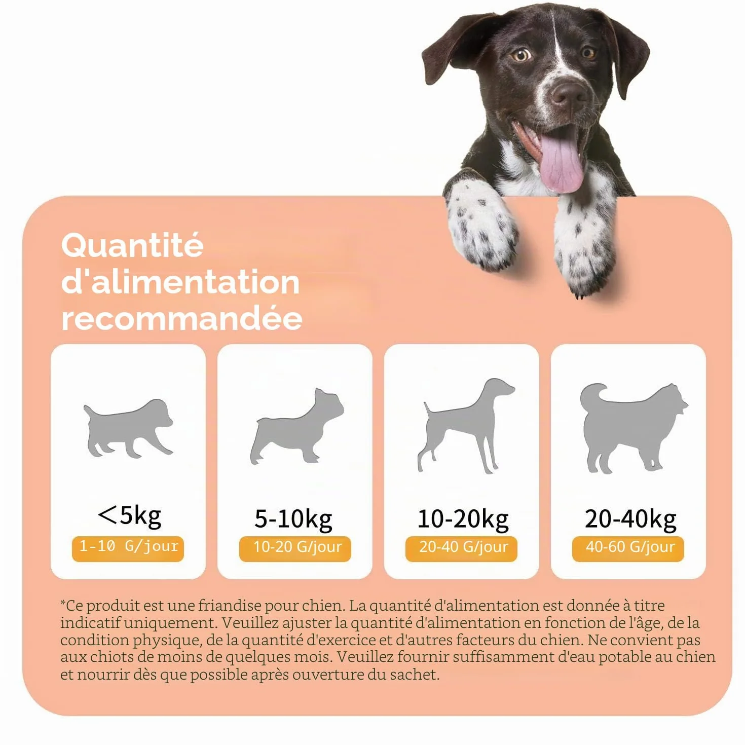 Friandise pour Chien Poulet Stick Enrobé 100g Naturelles Riches en Protéines Lot de 6