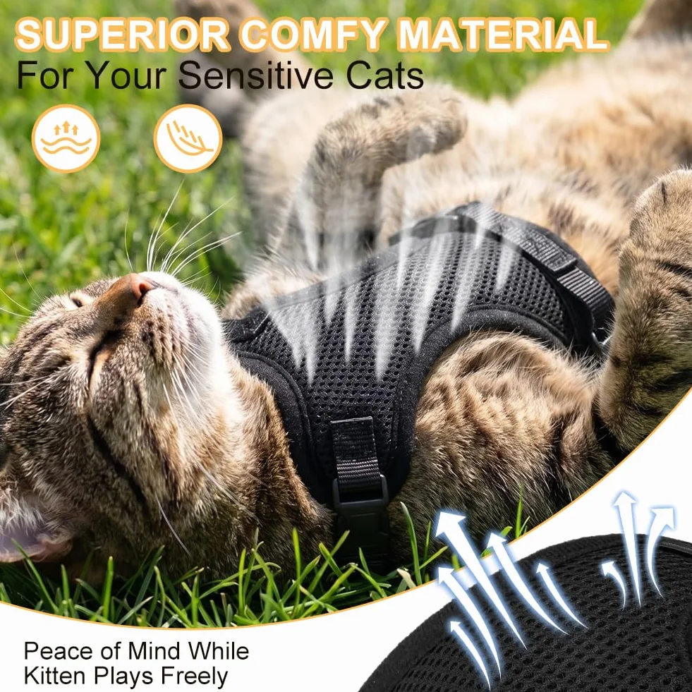 Aolso Harnais pour Chat Anti-éclatement Filet Respirant Réglable Réfléchissant Laisse 150cm Noir Taille M