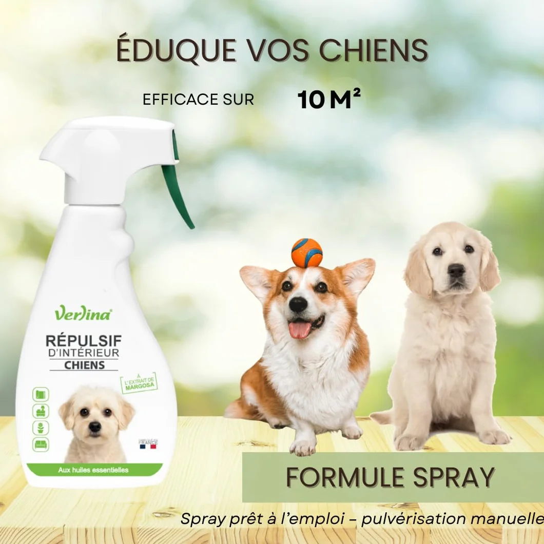 Répulsif Chiens Intérieur Spray Naturel 500 mL Protection 10 m²