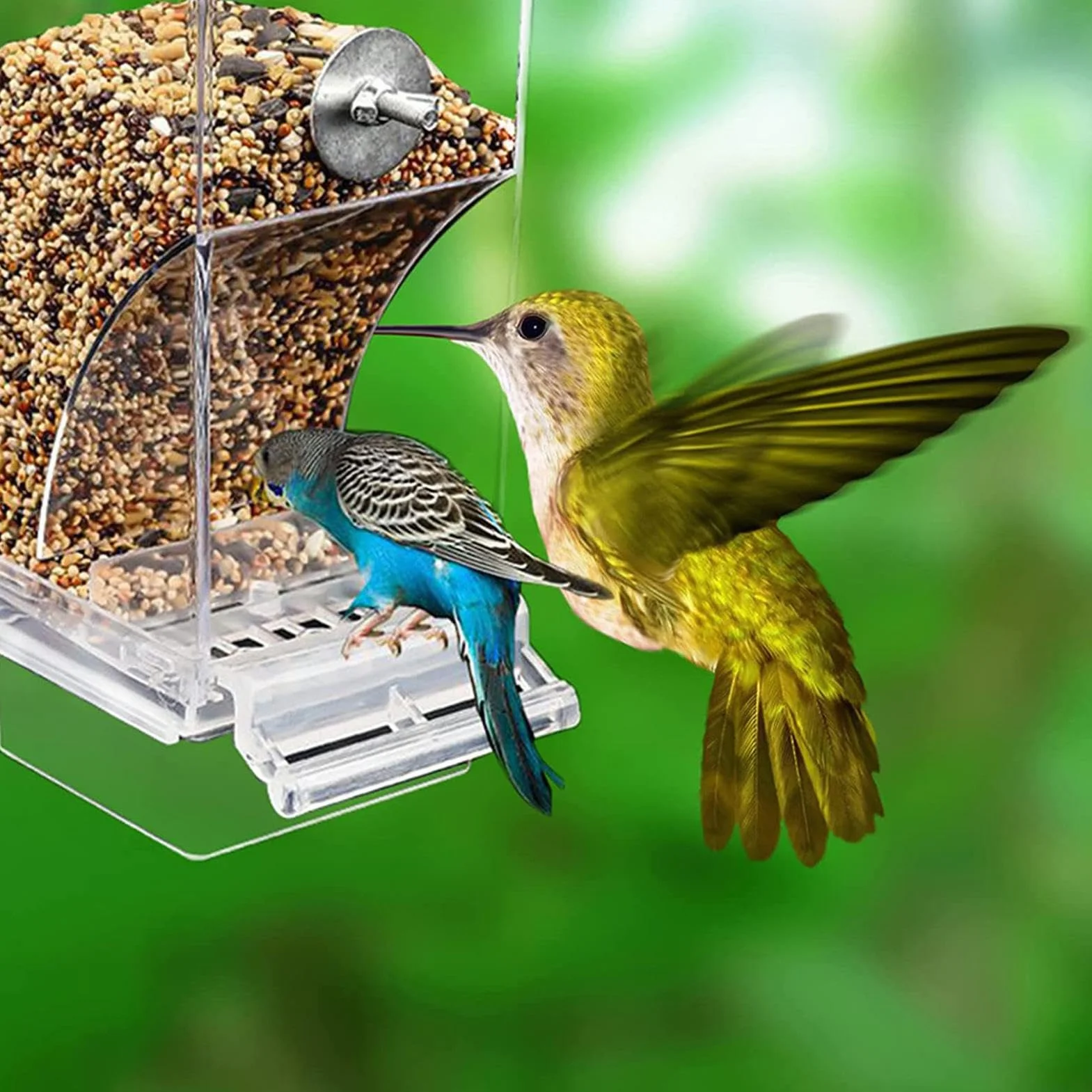 Mangeoire Automatique pour Oiseaux en Acrylique 2 Pièces sans Désordre pour Perruches Canaris Calopsittes