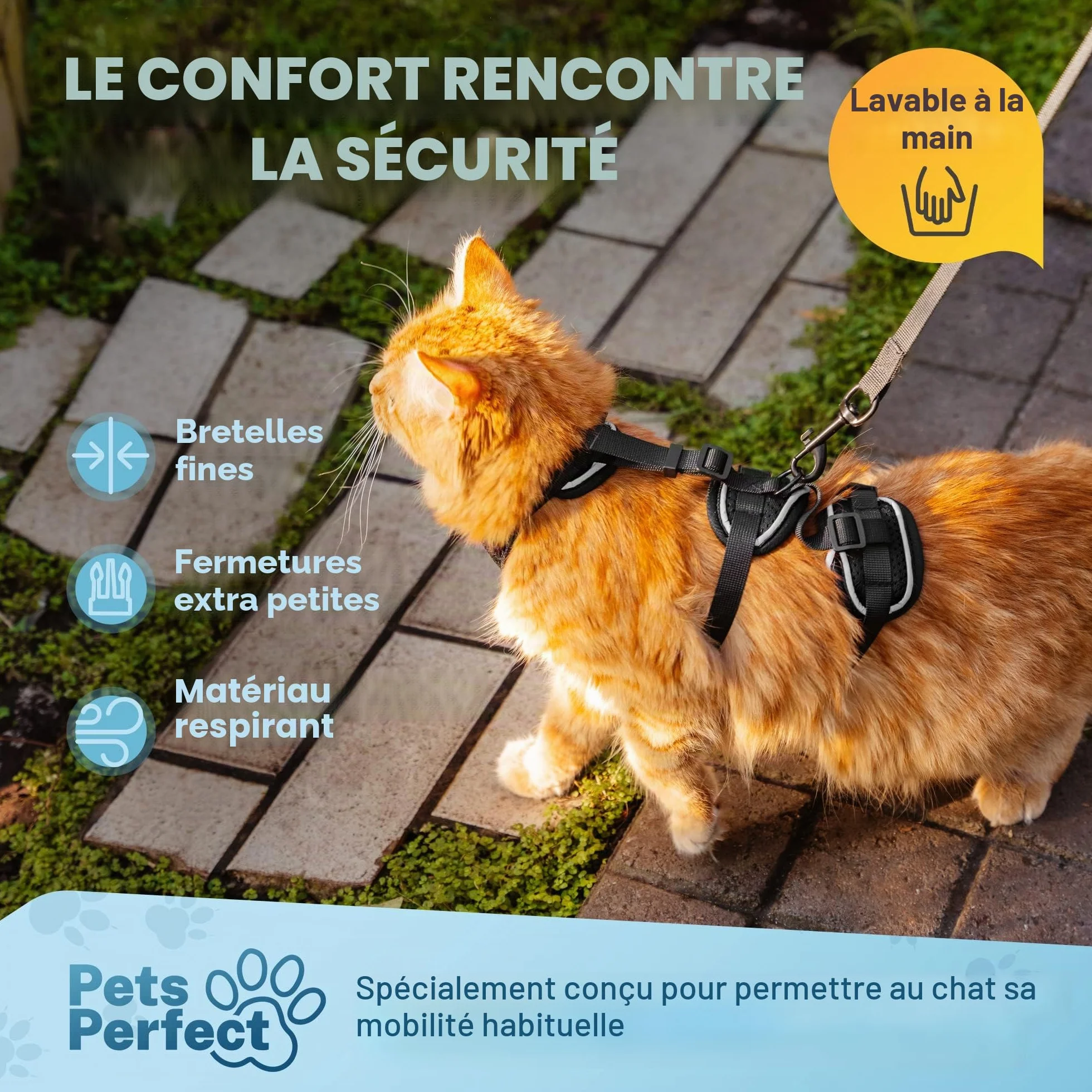 Harnais pour Chat Anti-éclatement avec Laisse Noir Rayure S