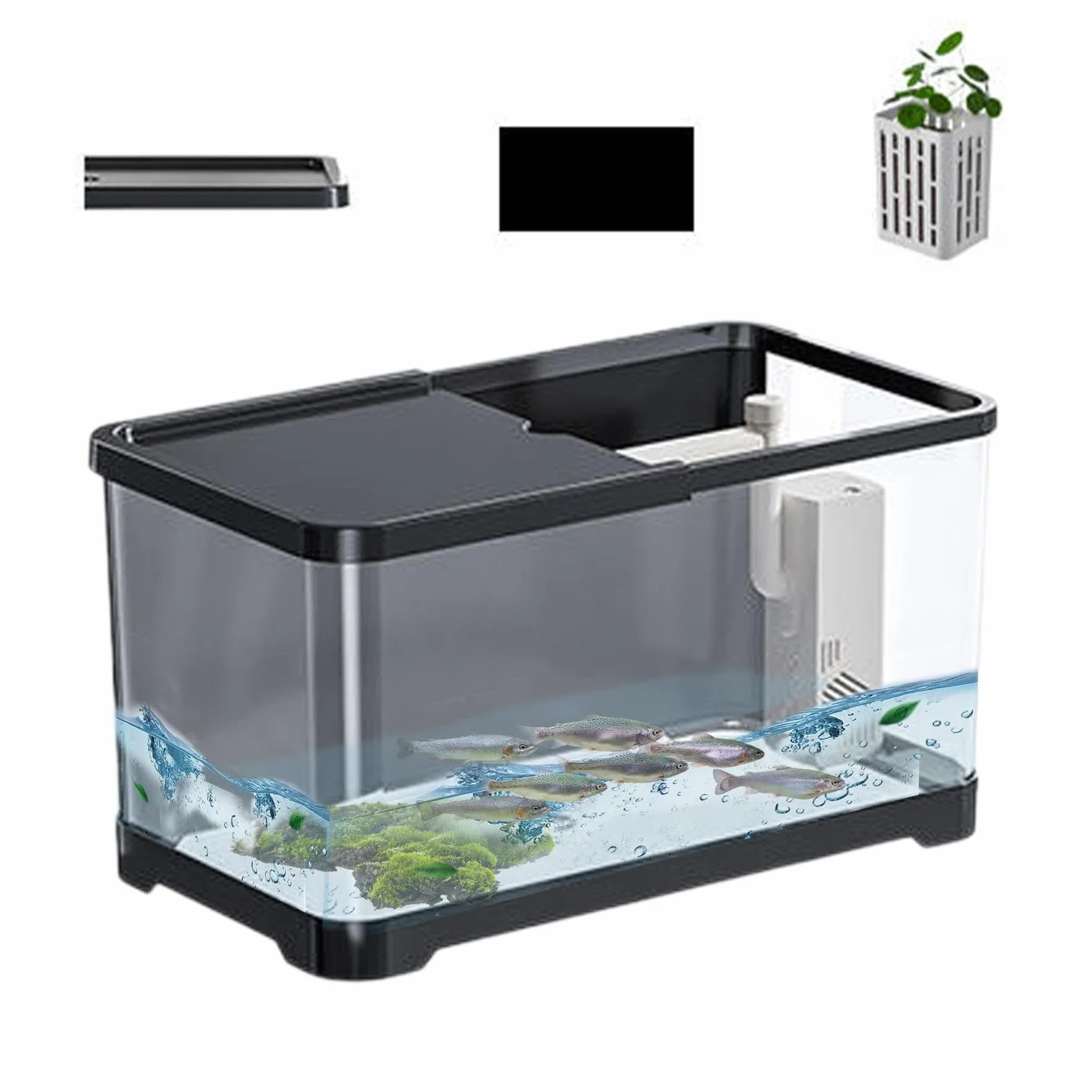 Kit de Démarrage d'Aquarium Polyvalent - Pour Poissons Rouges, Guppy - Petit Ensemble Décoratif d'Eau Salée