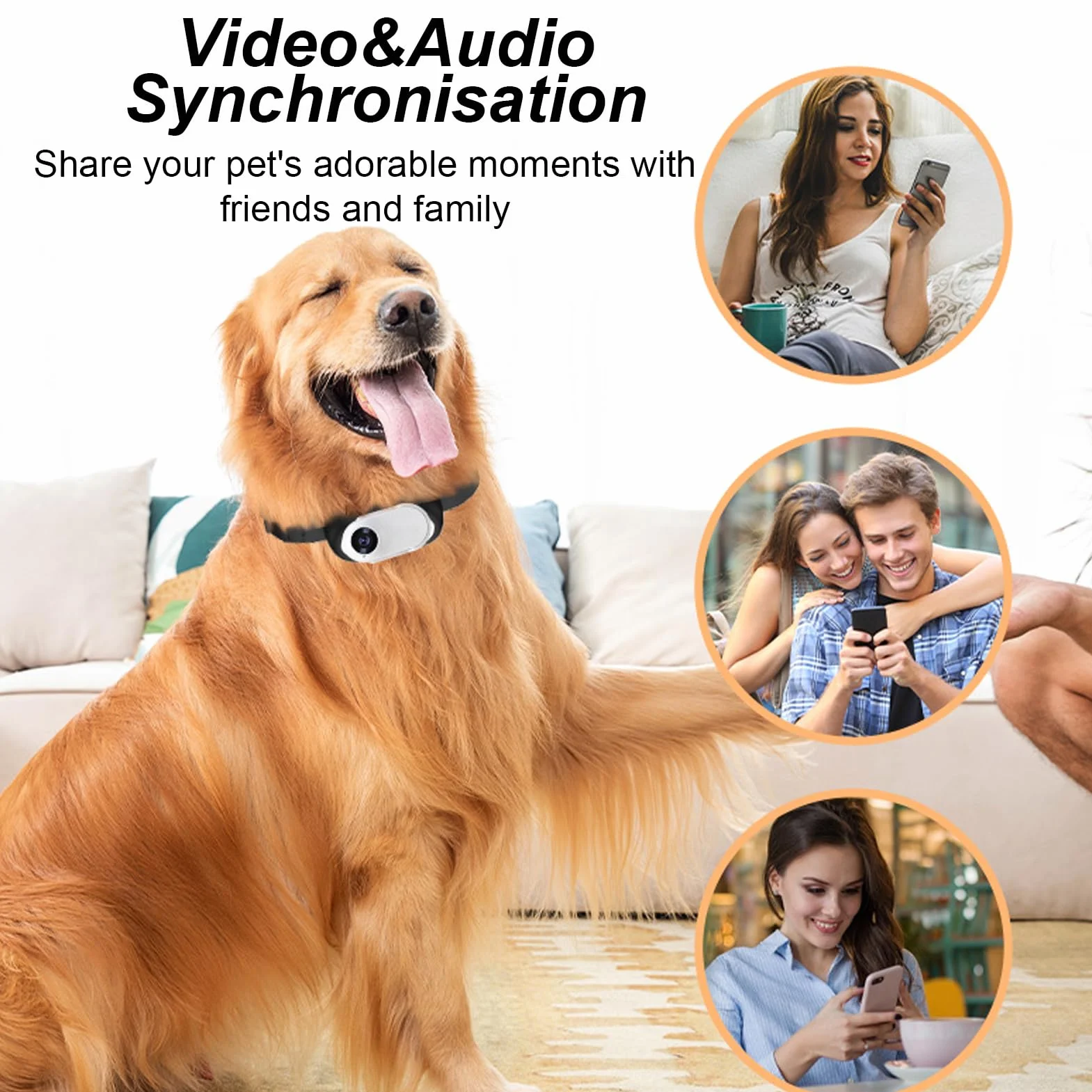 Caméra pour Collier pour Animaux de Compagnie Denash, écran LCD 1080P Grand Angle 170° Rechargeable USB