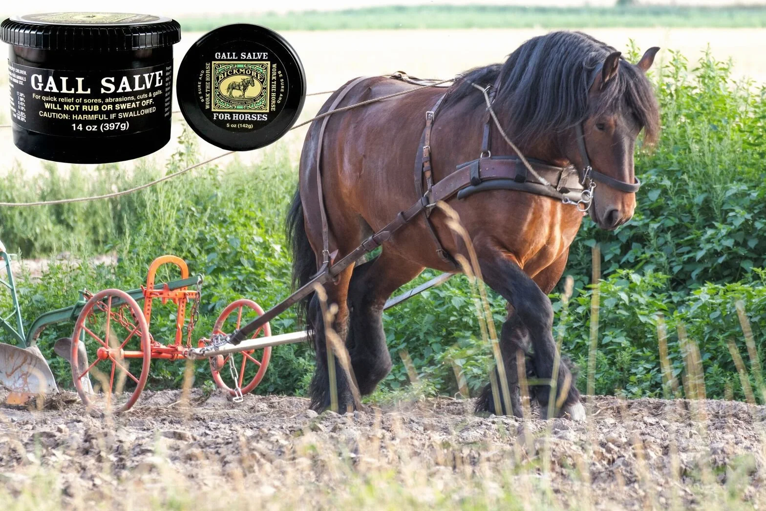 Bickmore Gall Salve Wound Cream 14oz
