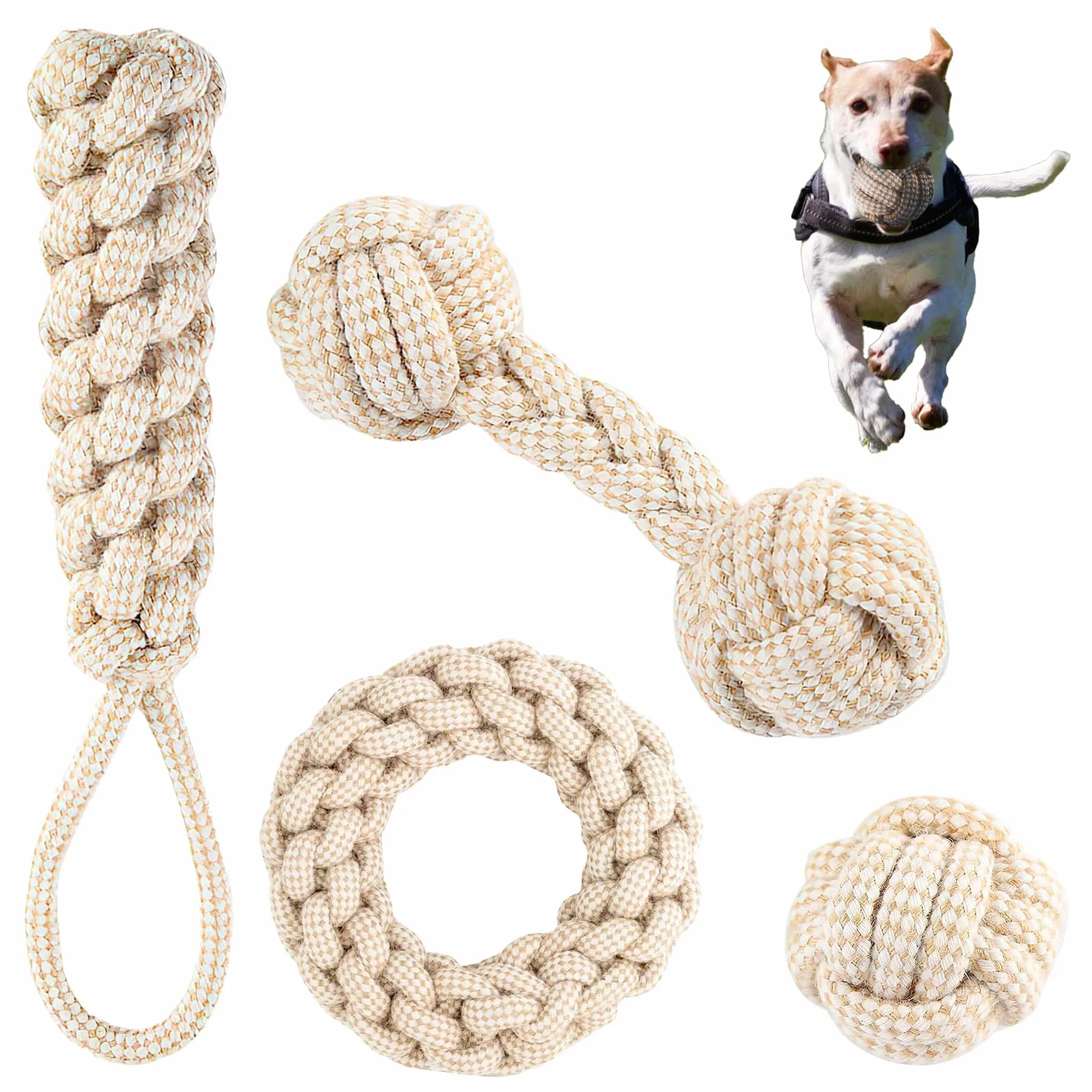 Jouet Chien avec Corde 4 Pcs Balle pour Chiots Doux Matériaux Durables Naturels Non Toxiques