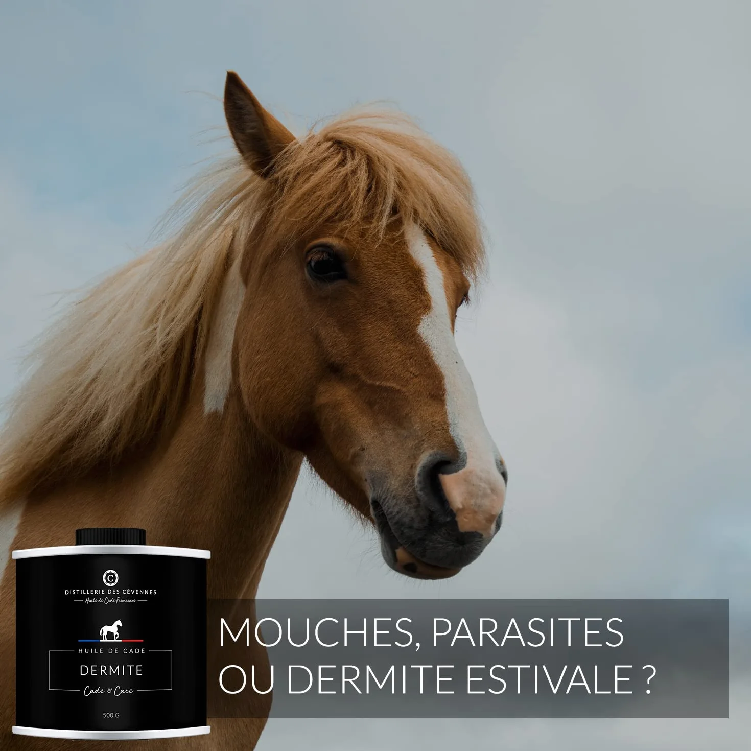 Huile de Cade pour Chevaux Soin de la Dermite 500g Fabriquée Distillée en France