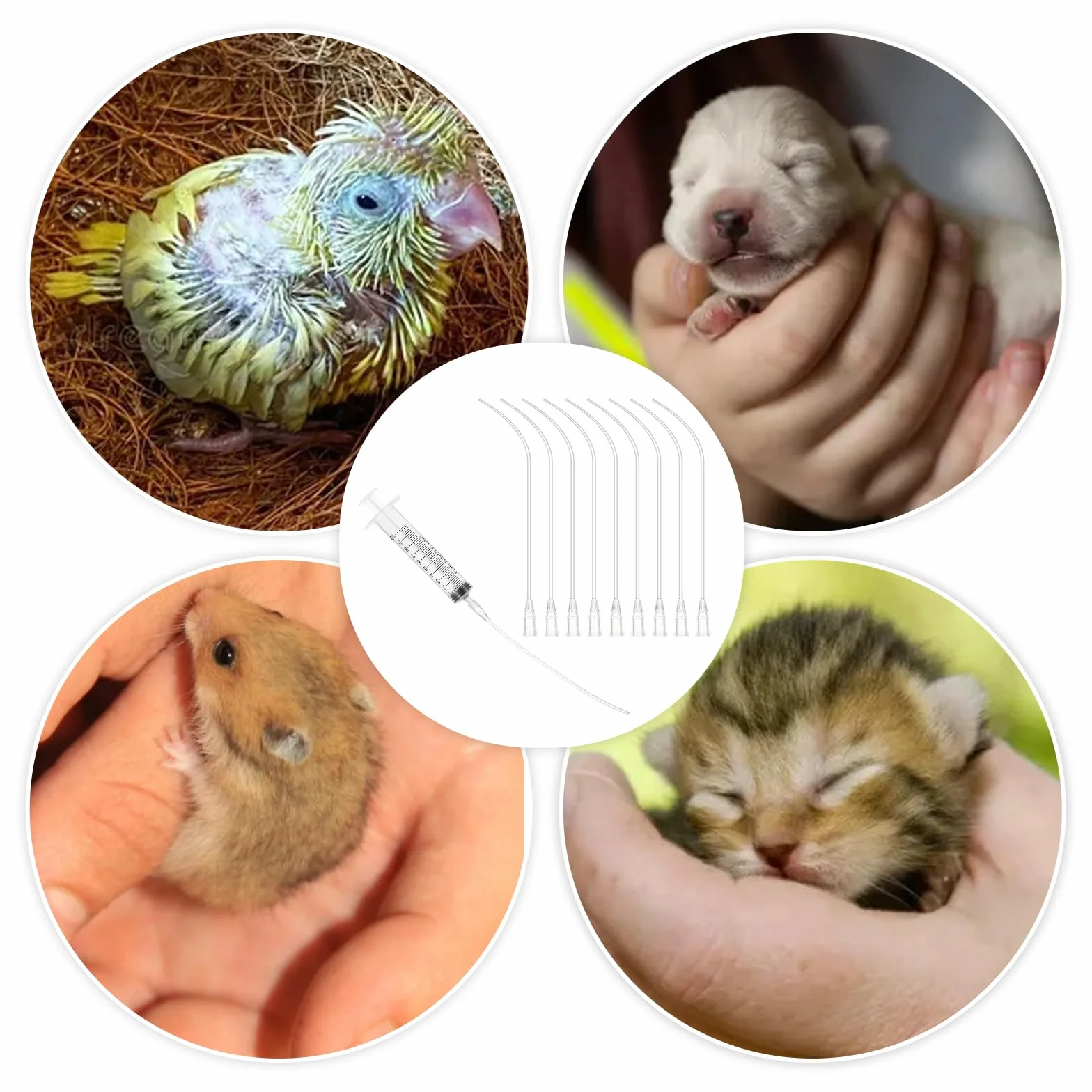 Lot de 10 tuyaux seringues 10 ml accessoires alimentation pour oiseaux pigeons outil manuel