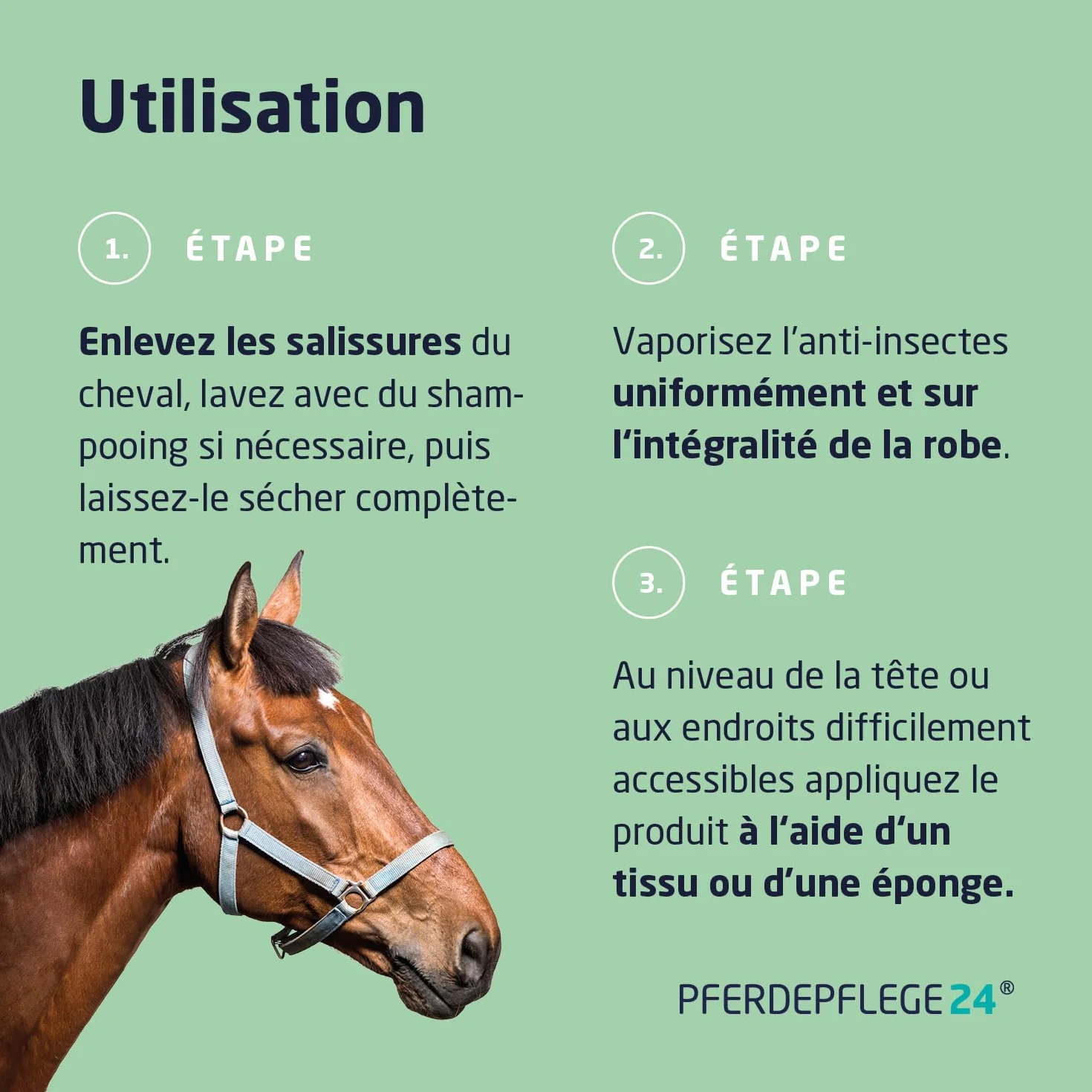 PFERDEPFLEGE24 Spray Anti Mouche Cheval DEET 1000ml - Protection Anti-Insectes pour Chevaux