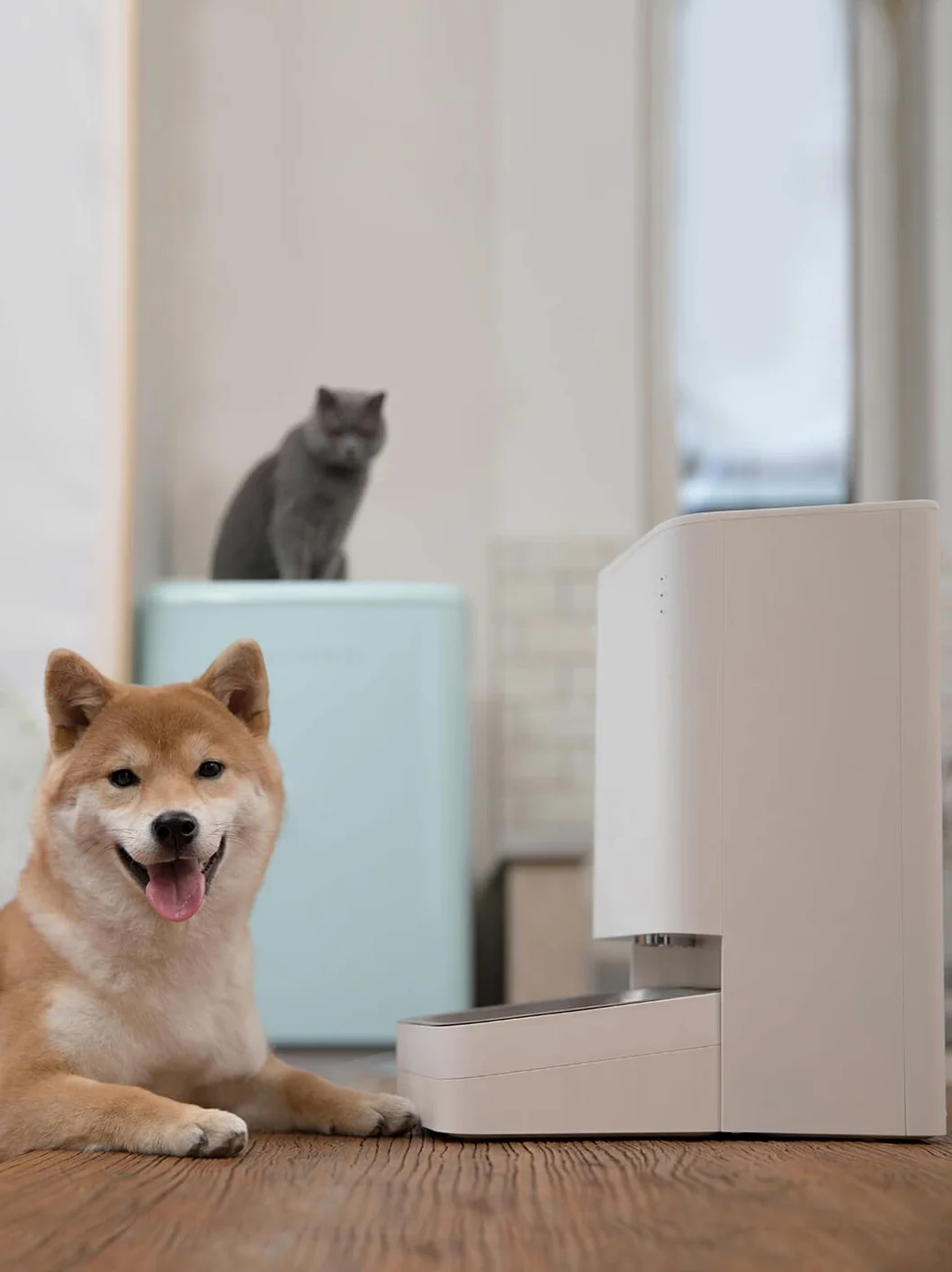 Xiaowan Distributeur automatique de nourriture pour chien et animaux de compagnie, contrôle à distance avec l'application Xiaomi Home, distribution programmable