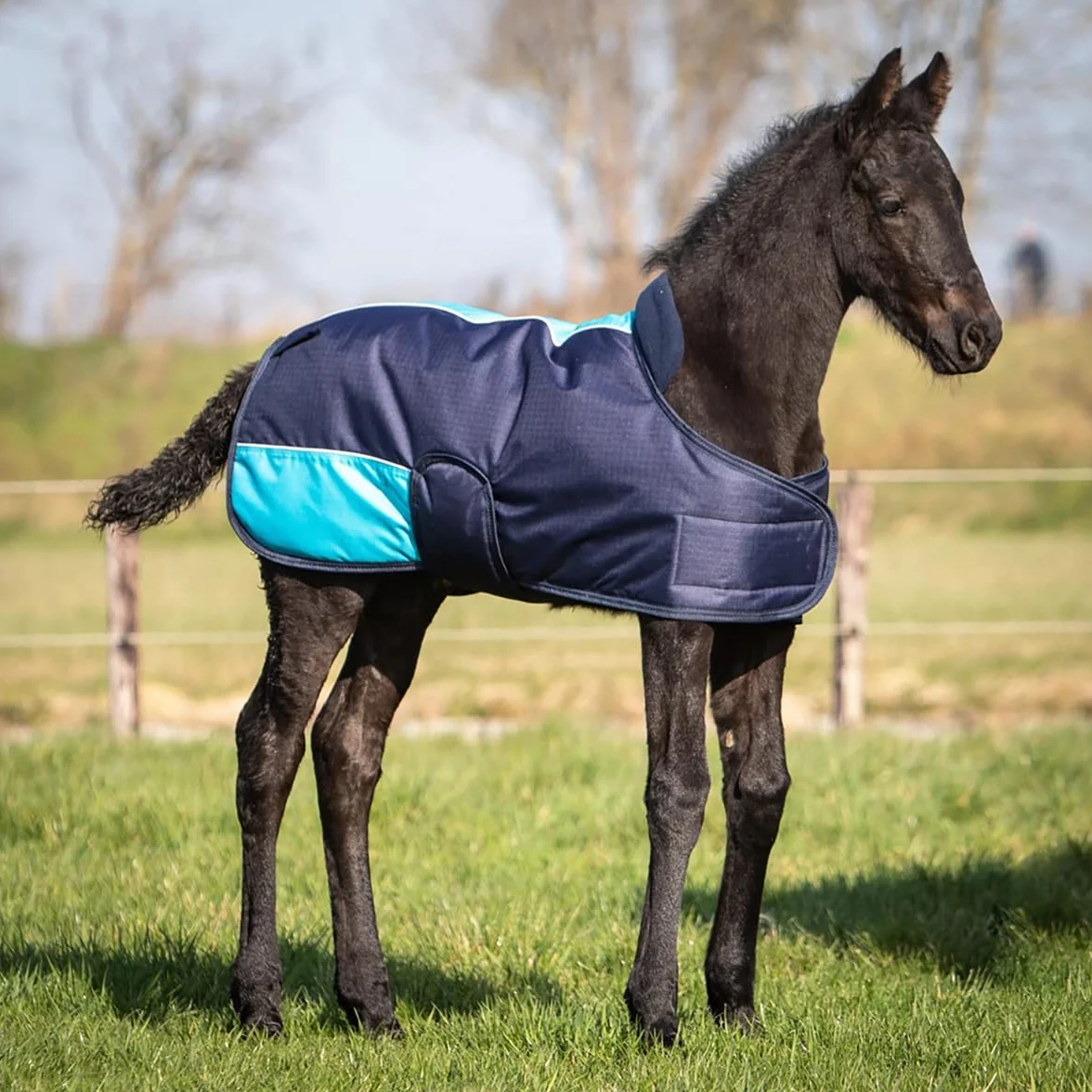 Harry's Horse Couverture poulain TwoTone 100-150 cm