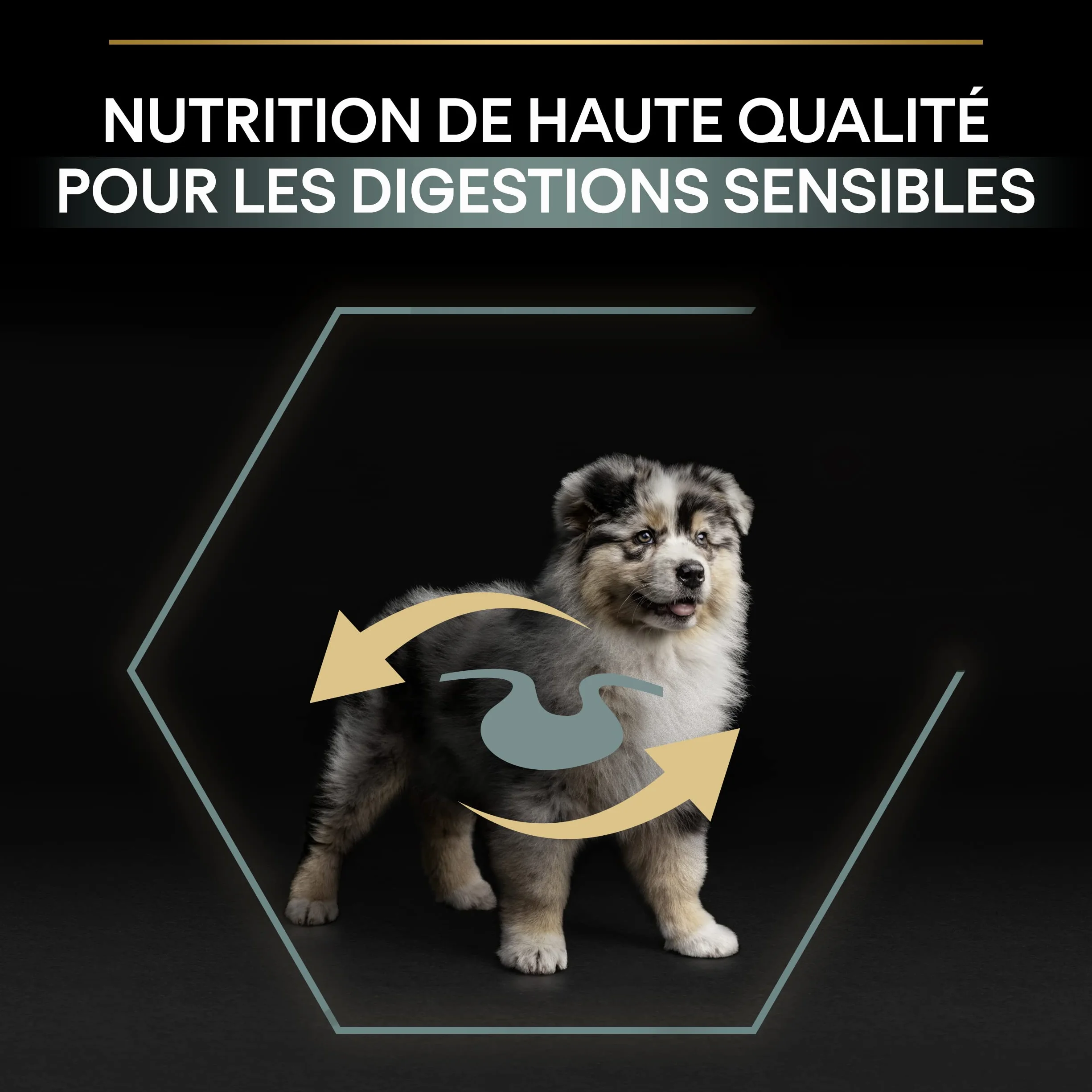 PURINA PRO PLAN Croquettes chiot moyenne taille Sensitive Digestion Agneau 3 kg