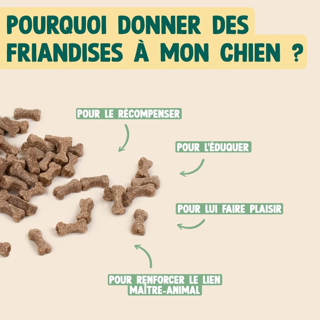 FRANKLIN Friandises pour Chien Dressage Riche en Agneau sans Céréales 150 g