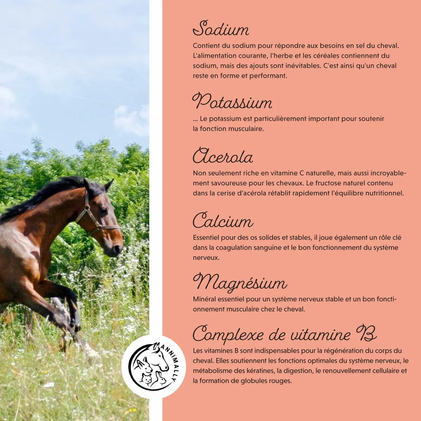 Annimally Électrolytes Liquides pour Chevaux 1000ml Sodium Potassium Acerola Calcium Magnésium Vitamine B sans Sucre