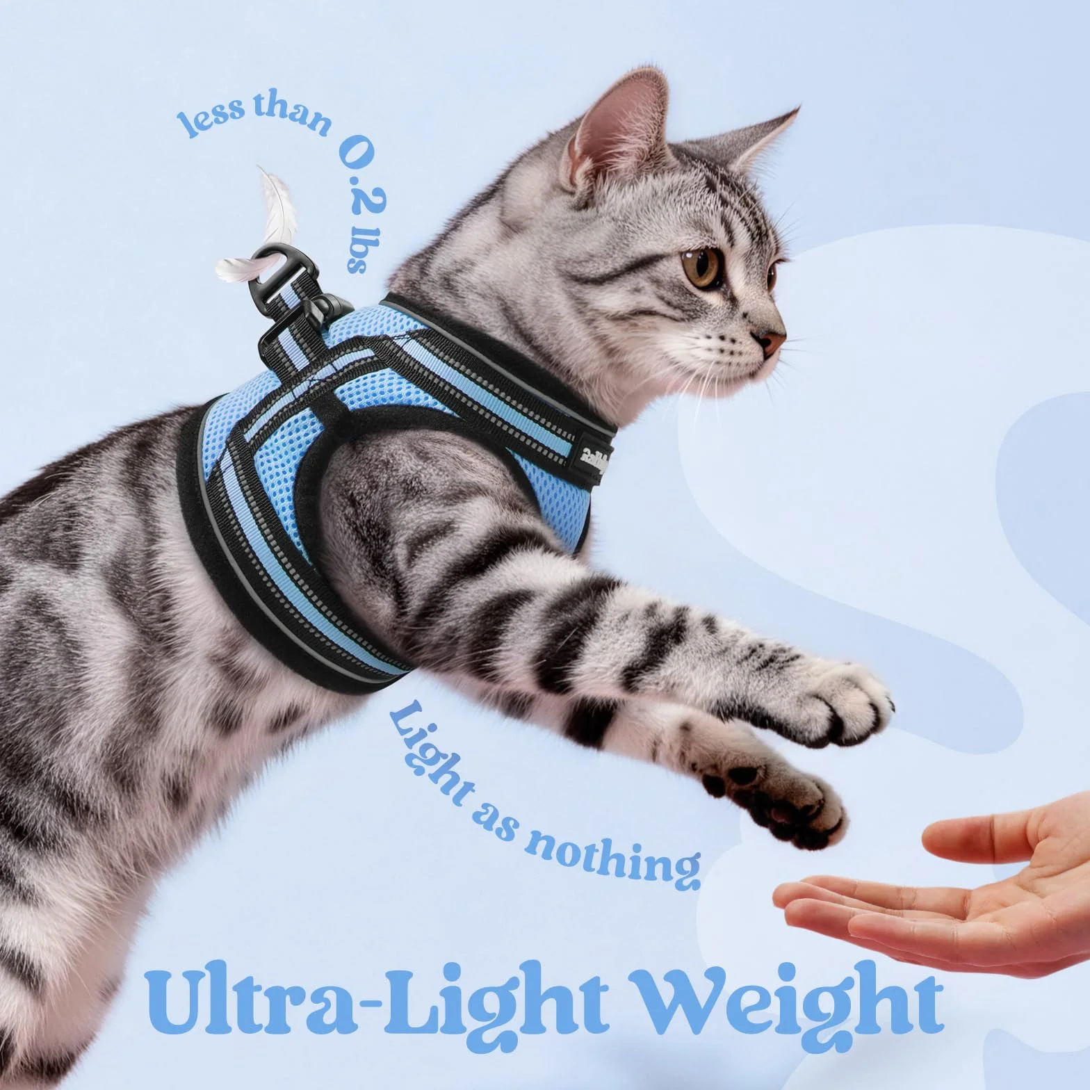 Rabbitgoo Harnais Chat avec Laisse, Gilet Réglable Respirant Bande Réfléchissante pour Persan Ragdoll American Shorthair Bleu Clair