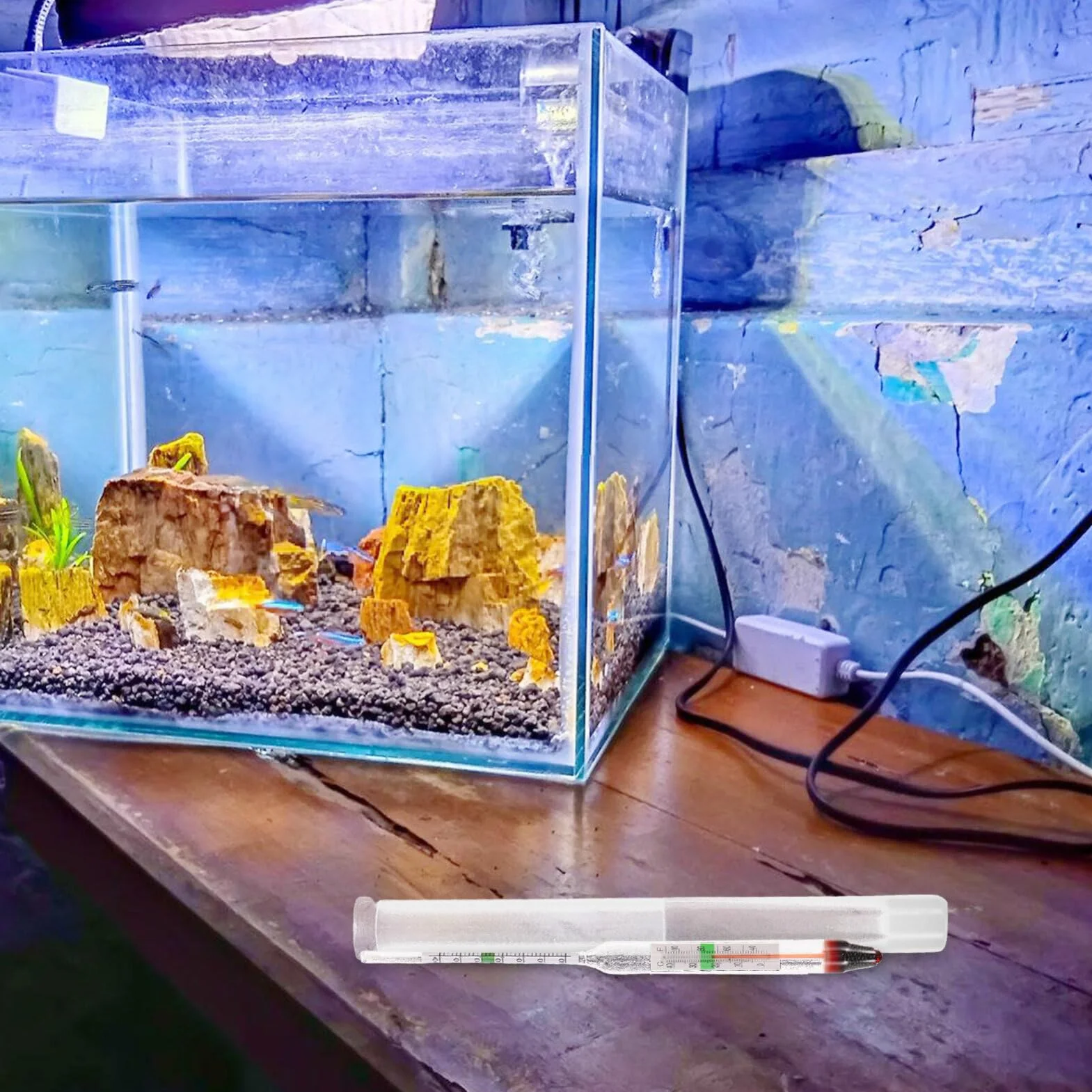 Ifundom Testeur De Salinité De Haute Précision Pour Aquarium Hydromètre Verre