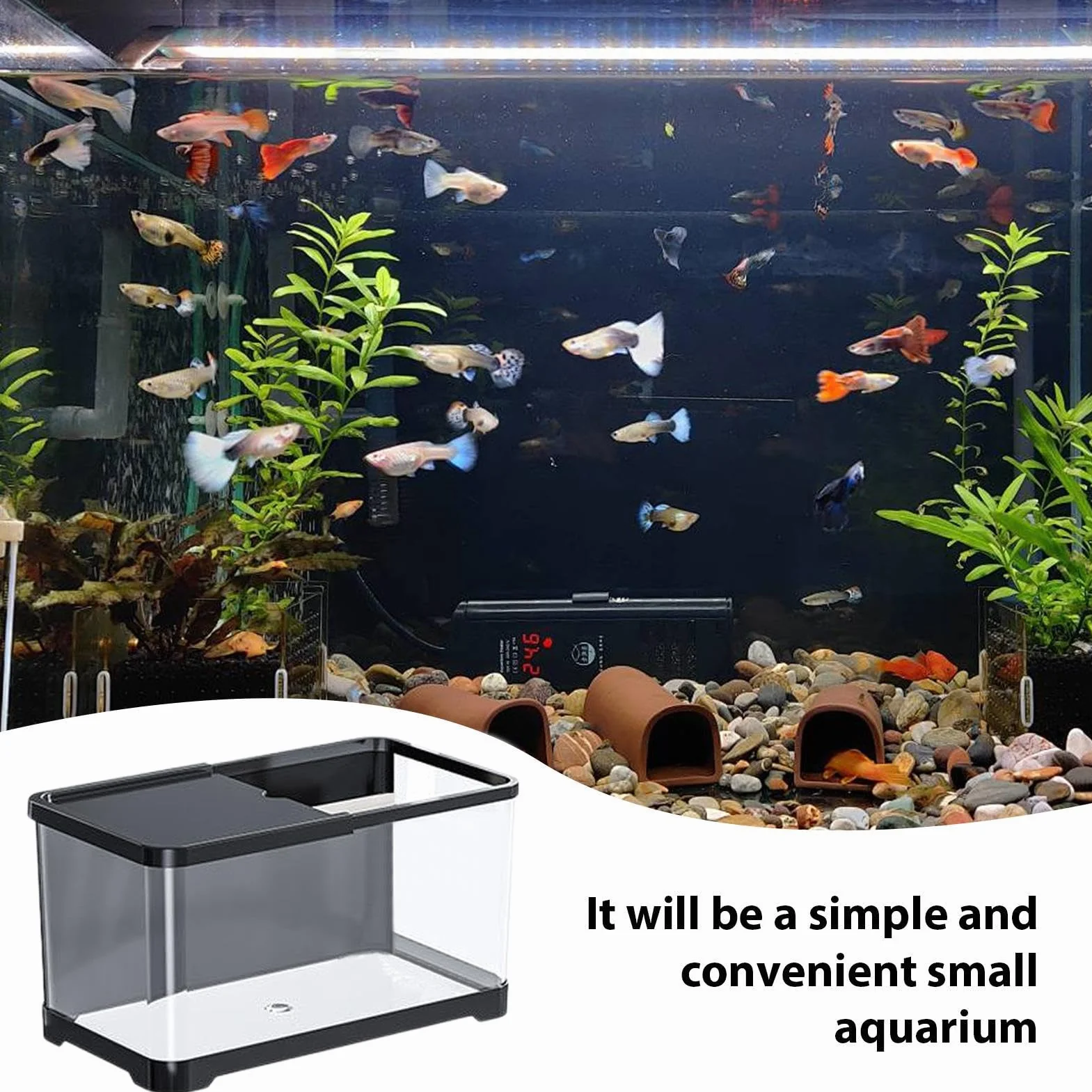Kit de Démarrage pour Petit Aquarium Décoratif - Réservoir Créatif pour Poissons Rouges, Guppy, Crevettes avec Panier