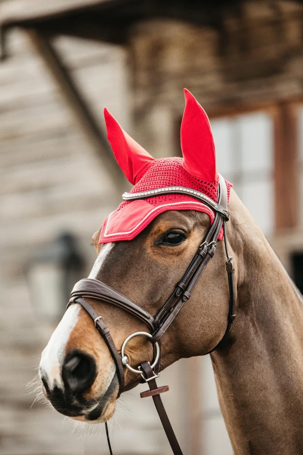Kentucky Horsewear Bonnet Wellington Velours Rouge Cheval