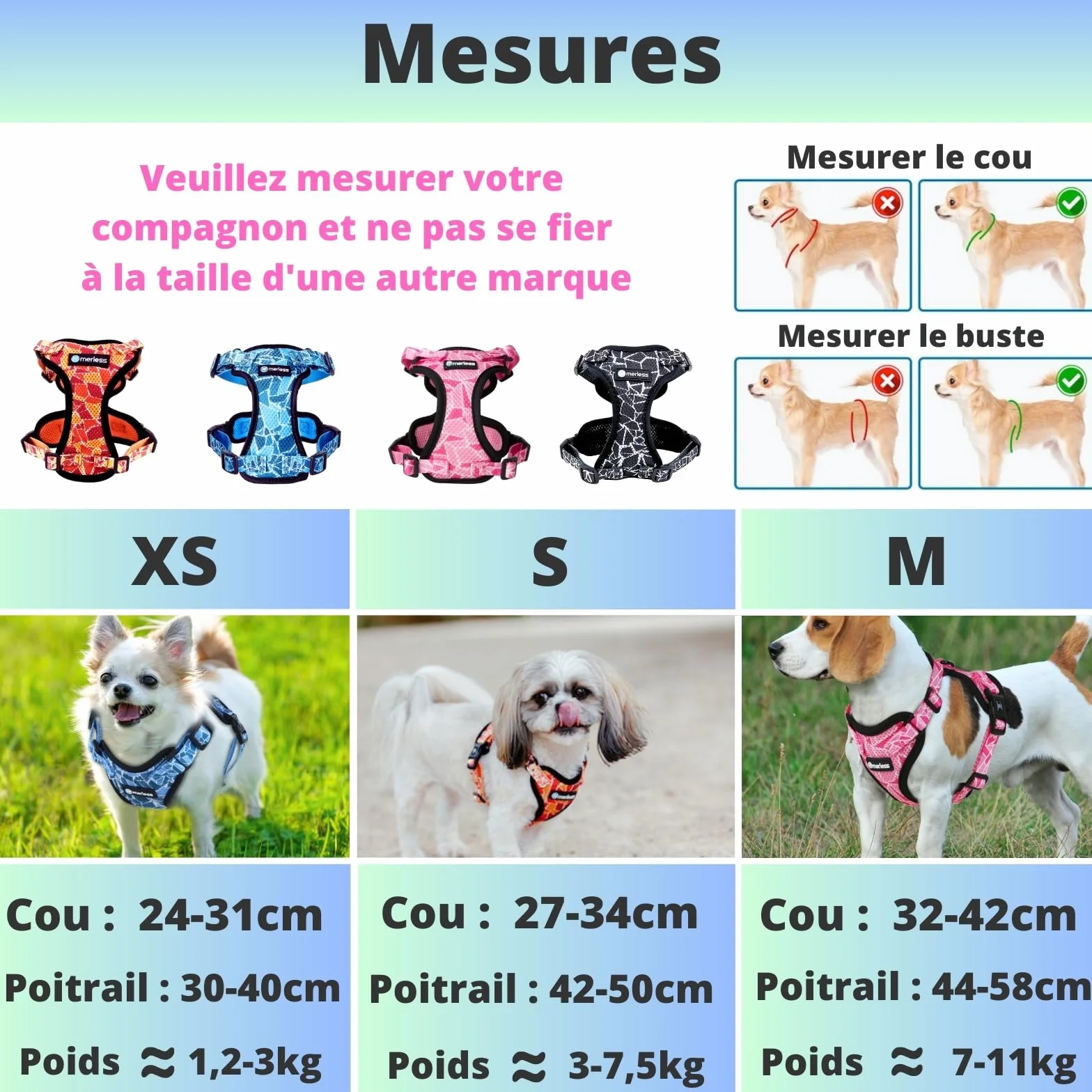 Harnais et Laisse pour Chien Chiot Chat Arnet Anti Traction XS Noir 1,2-3kg Coffret Cadeau