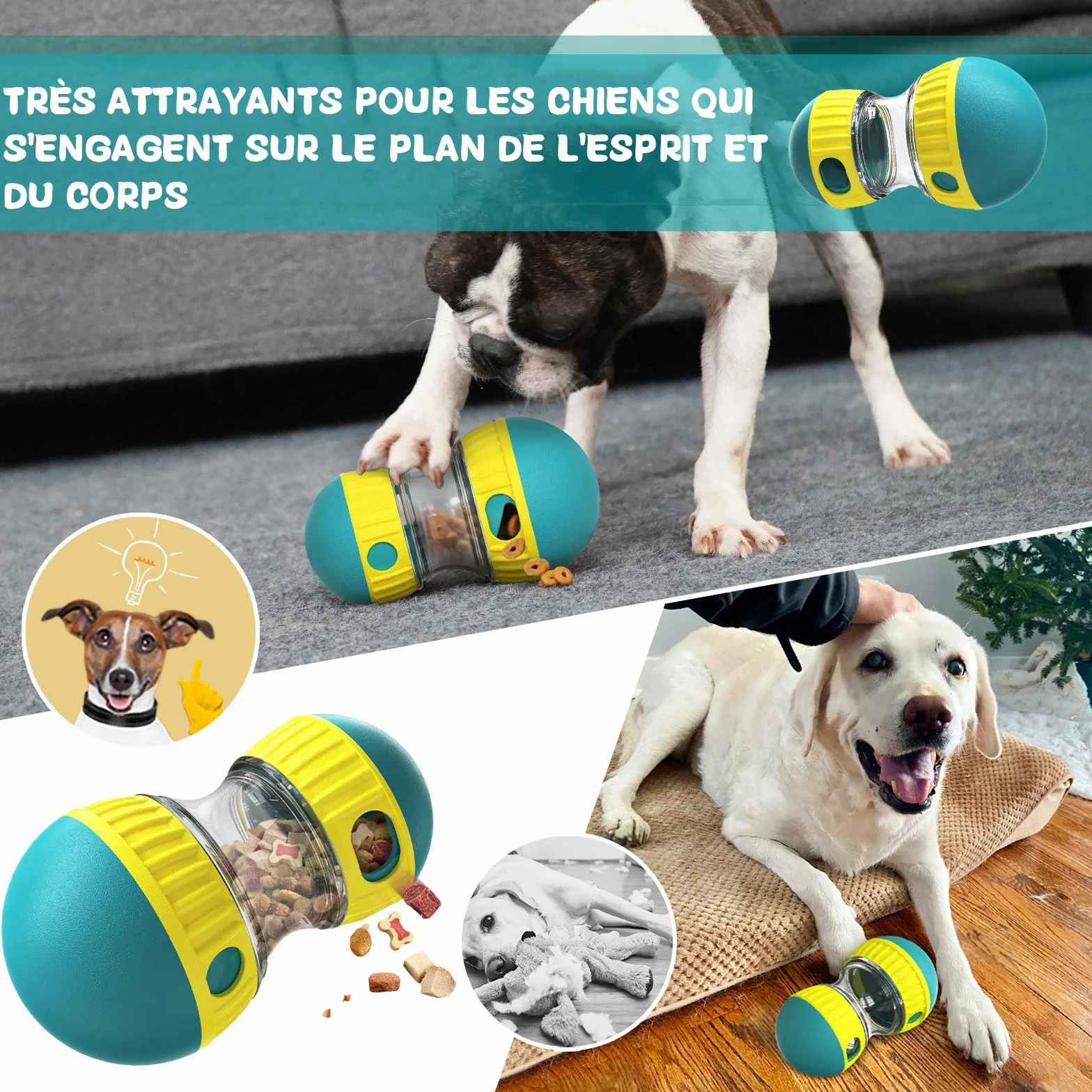 Jouet pour Chien Indestructible Interactif de Mangeoire, Distributeur Croquettes, Cadeau d'anniversaire à Couinement (Bleu)