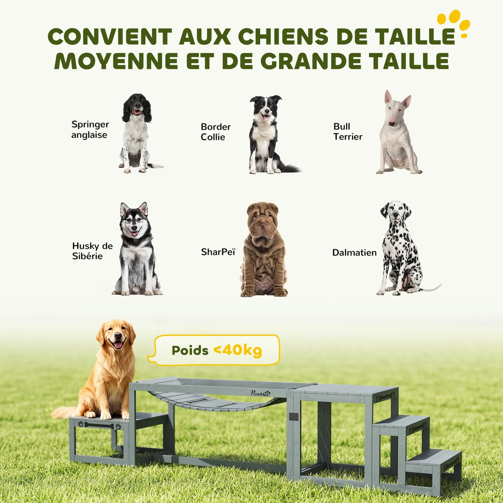 PawHut Kit d'agilité pour Chien 3 Pièces Pont Souple Plateforme de Pause Escalier Bois Massif Gris