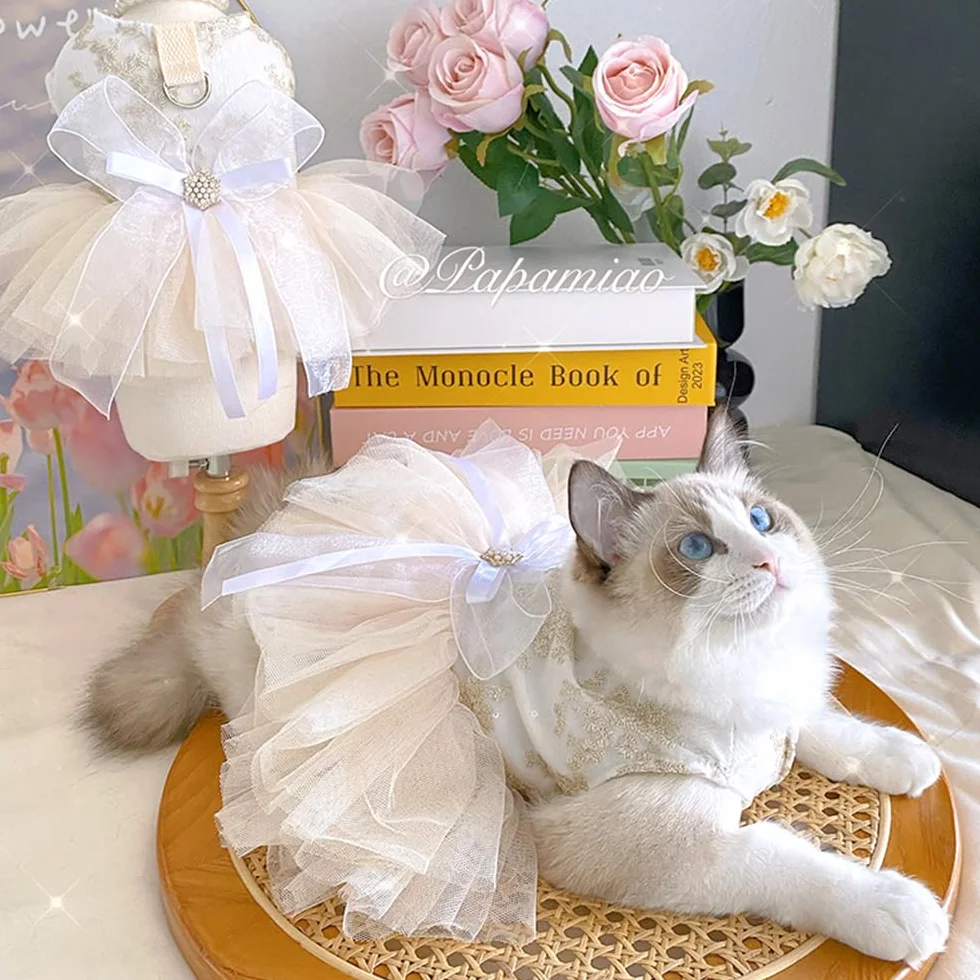 Robe de mariée brodée pour Chien avec Anneau pour Laisse, Tutu en Dentelle Multicouche, Taille M, Champagne