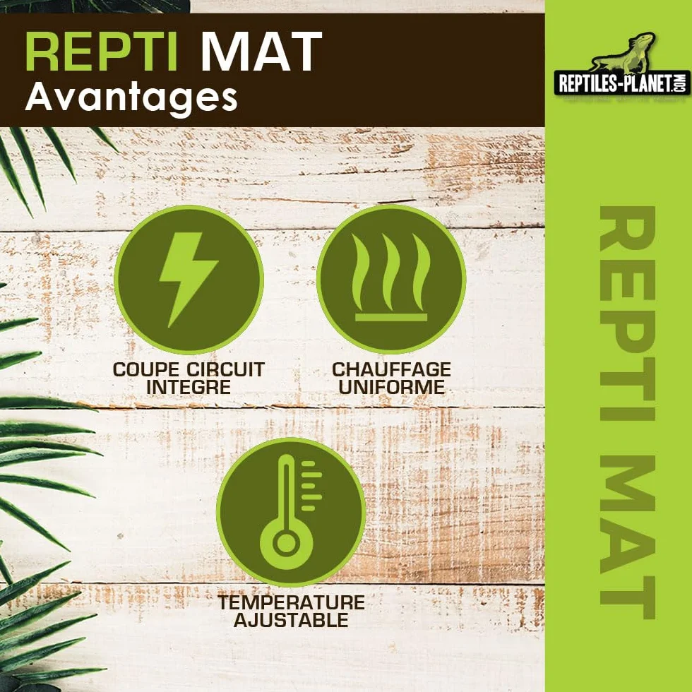 Reptiles Planet Repti Mat Tapis Chauffant pour Terrarium 5 W 14 x 15 cm