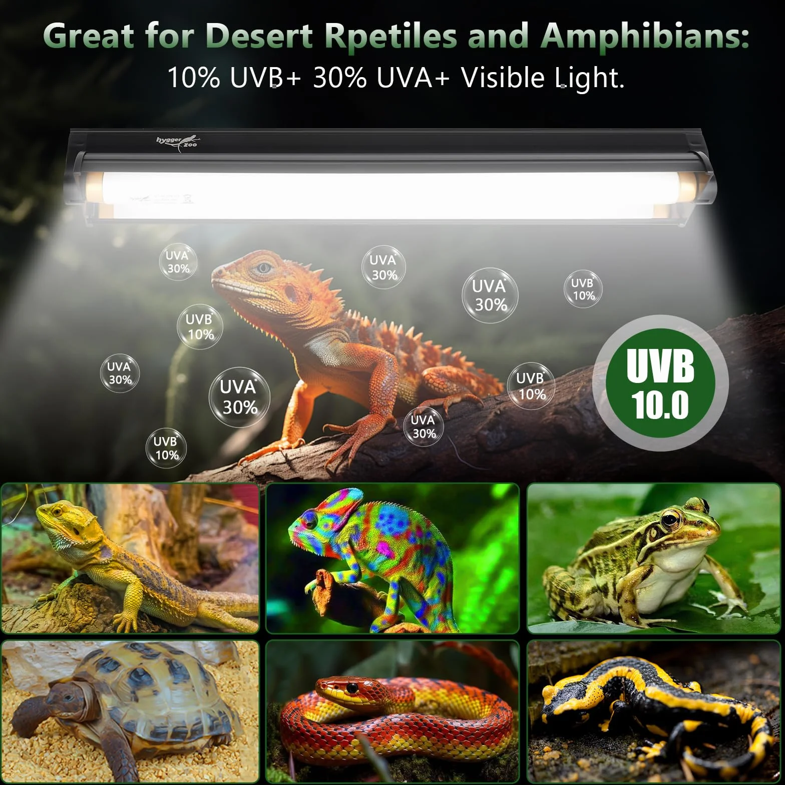 Kit de reptile lumière T8 Lampe UVB 10.0 24" 62cm pour tortue dragon barbue