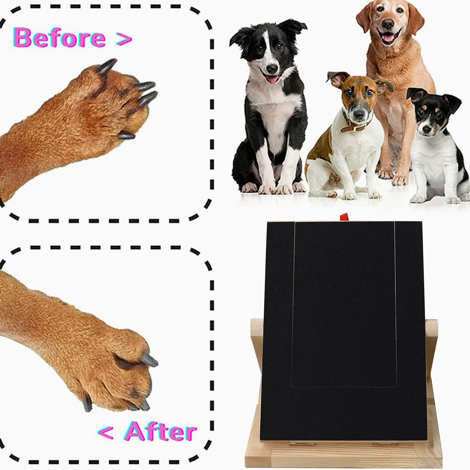 Grattoir à Ongles pour Chiens - de Lime à Ongles réglable avec | compartiment à , outil de toilettage multifonction pour petits grands chiens | Alternative au coupe-griffes pour