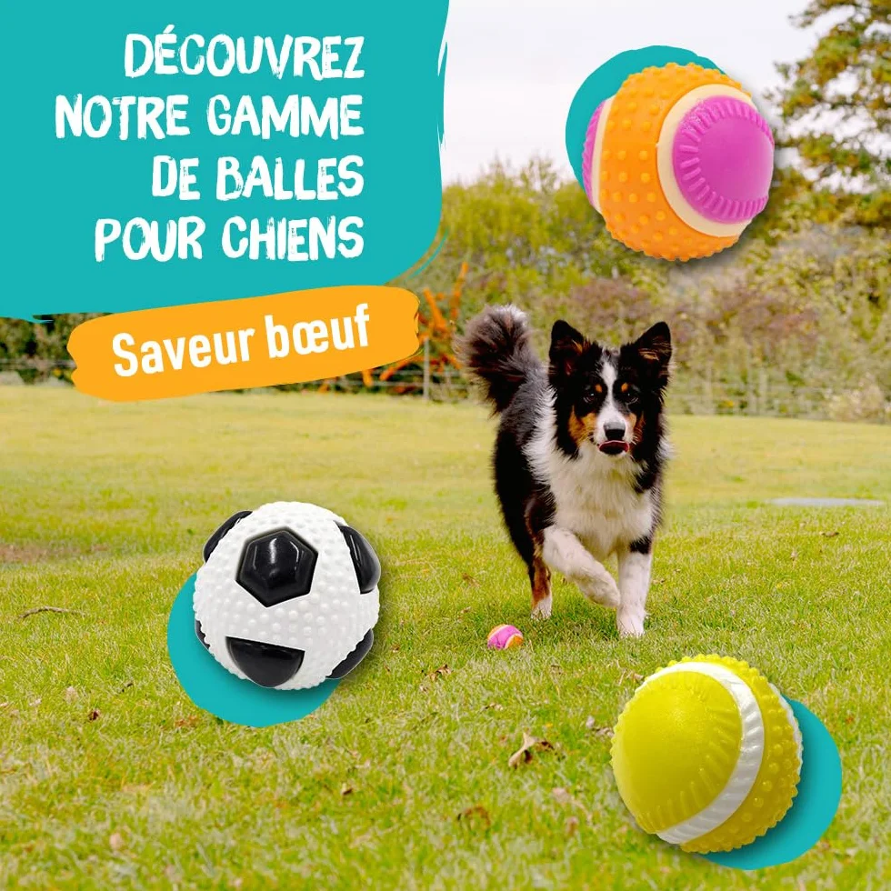 Aimé Balle pour Chien 5 en 1 Saveur Bœuf Jouet Interactif Éducatif 6 cm