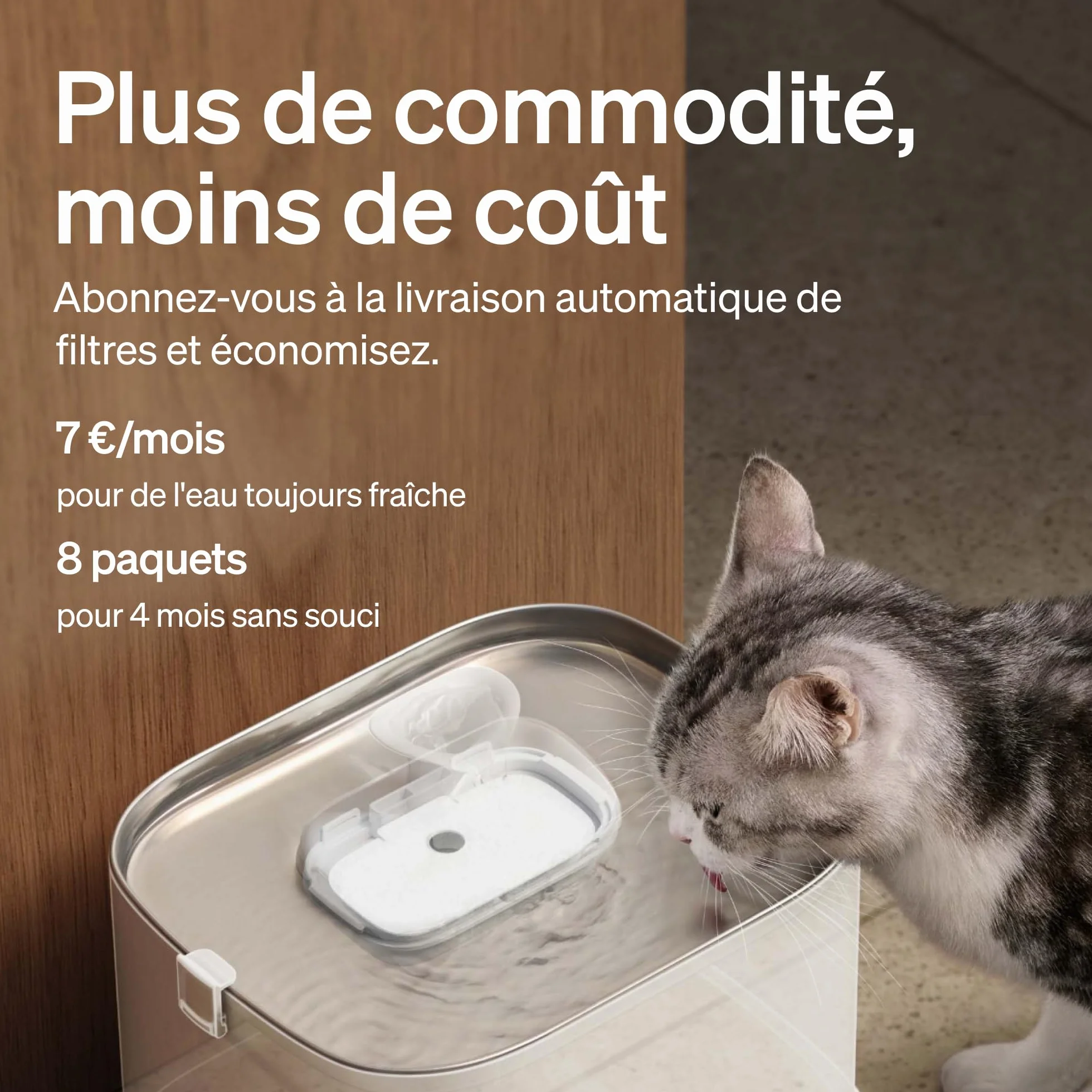 PETLIBRO Lot de 8 Filtres pour Fontaine à Eau pour Chat PLWF005 PLWF115 PLWF105 Kit 4 Mois