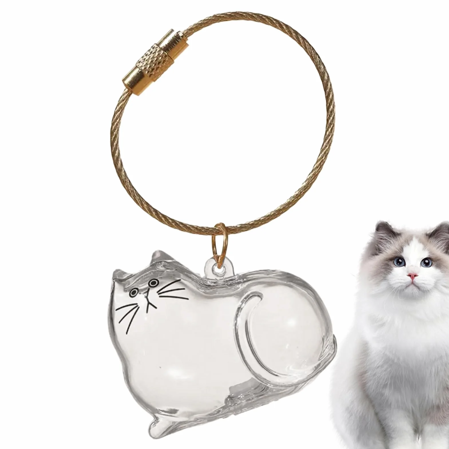 Porte-clés C-apsule Commémorative en Poils de Chat, Boîte Mémoriale pour Poils d'Animaux, Contenant Transparent Portatif