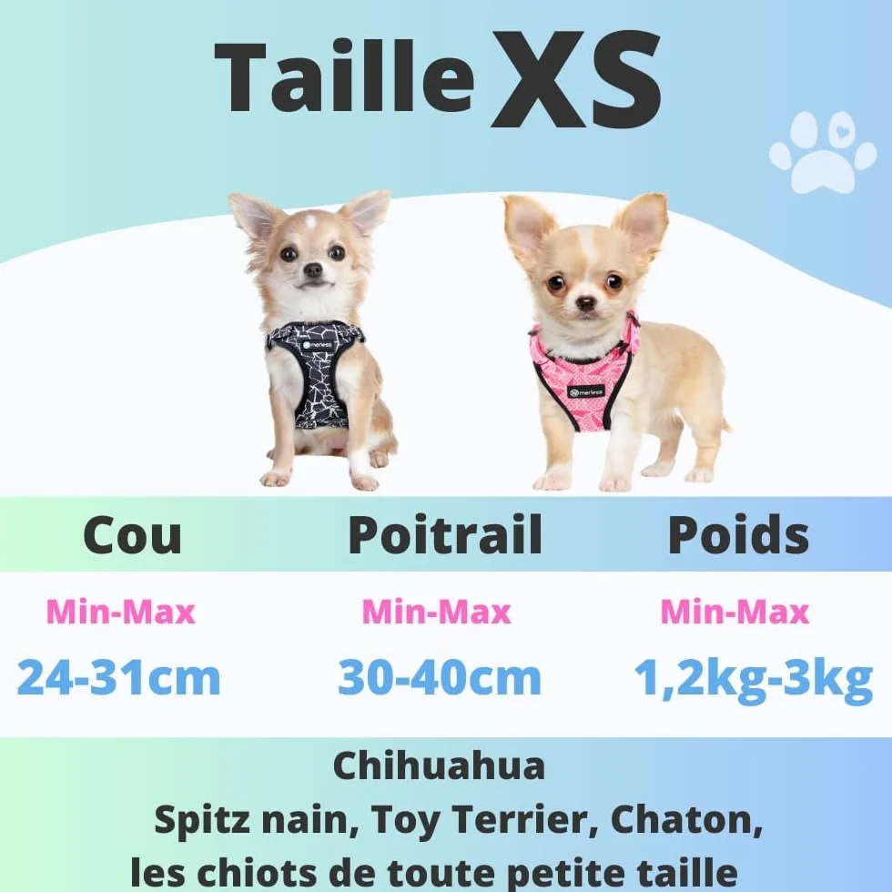 Harnais et Laisse pour Chien Chiot Chat Arnet Anti Traction XS Noir 1,2-3kg Coffret Cadeau