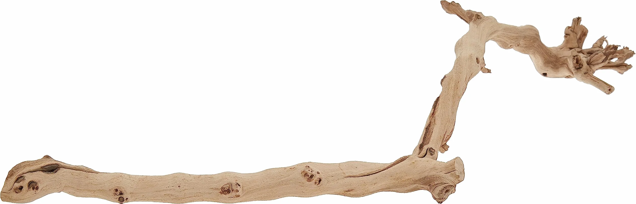 Exo Terra Branche de forêt Taille L