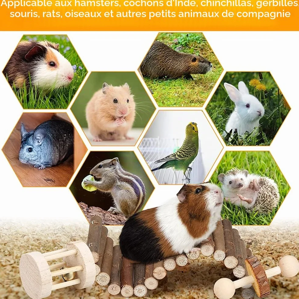 Jouets Cochon d'Inde à mâcher Naturel, Jouet pour Lapin, Hamster, Petits Animaux, Jouets molaires, Soins des Dents, Accessoires en Bois pour rongeurs, Jouet balançoire et Pont à Bascule