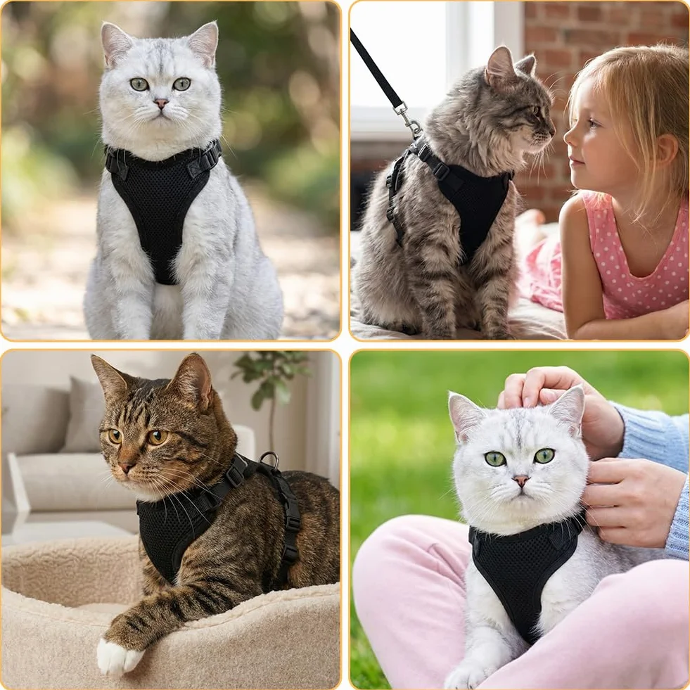 Aolso Harnais pour Chat Anti-éclatement Filet Respirant Réglable Réfléchissant Laisse 150cm Noir Taille M
