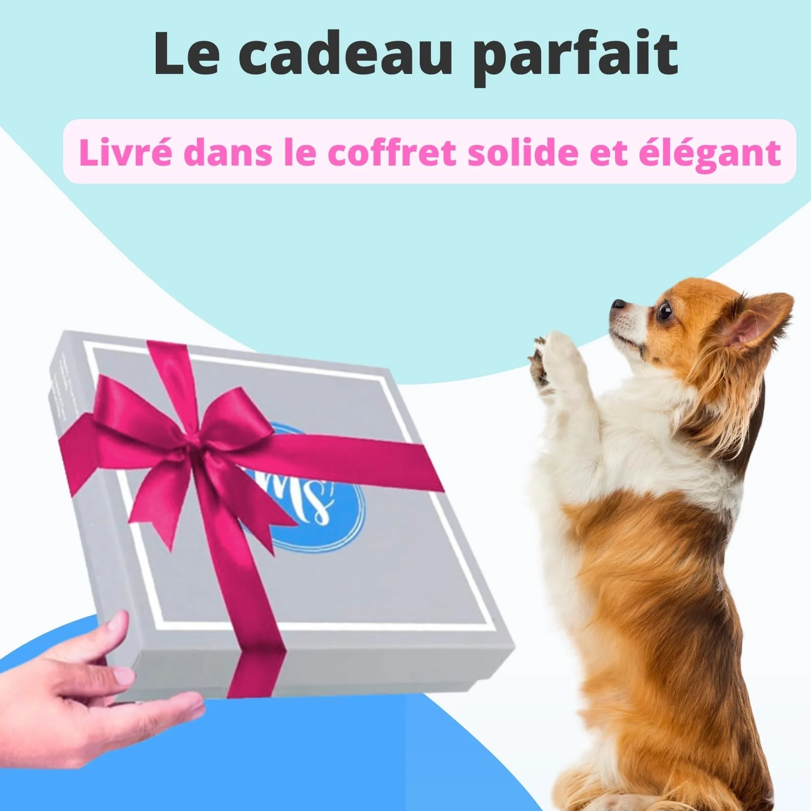 Harnais et Laisse pour Chien Chiot Chat Arnet Anti Traction XS Noir 1,2-3kg Coffret Cadeau