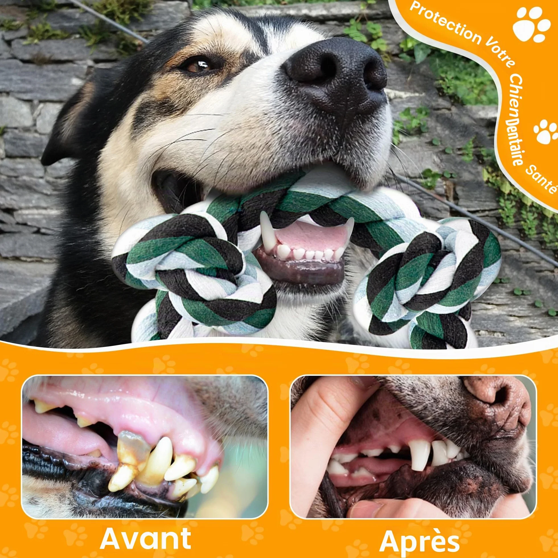 Corde de Jouet Chien Durable 100cm Grand 6-Nœuds 100% Coton Jouet à Mâcher pour Nettoyage des Dents