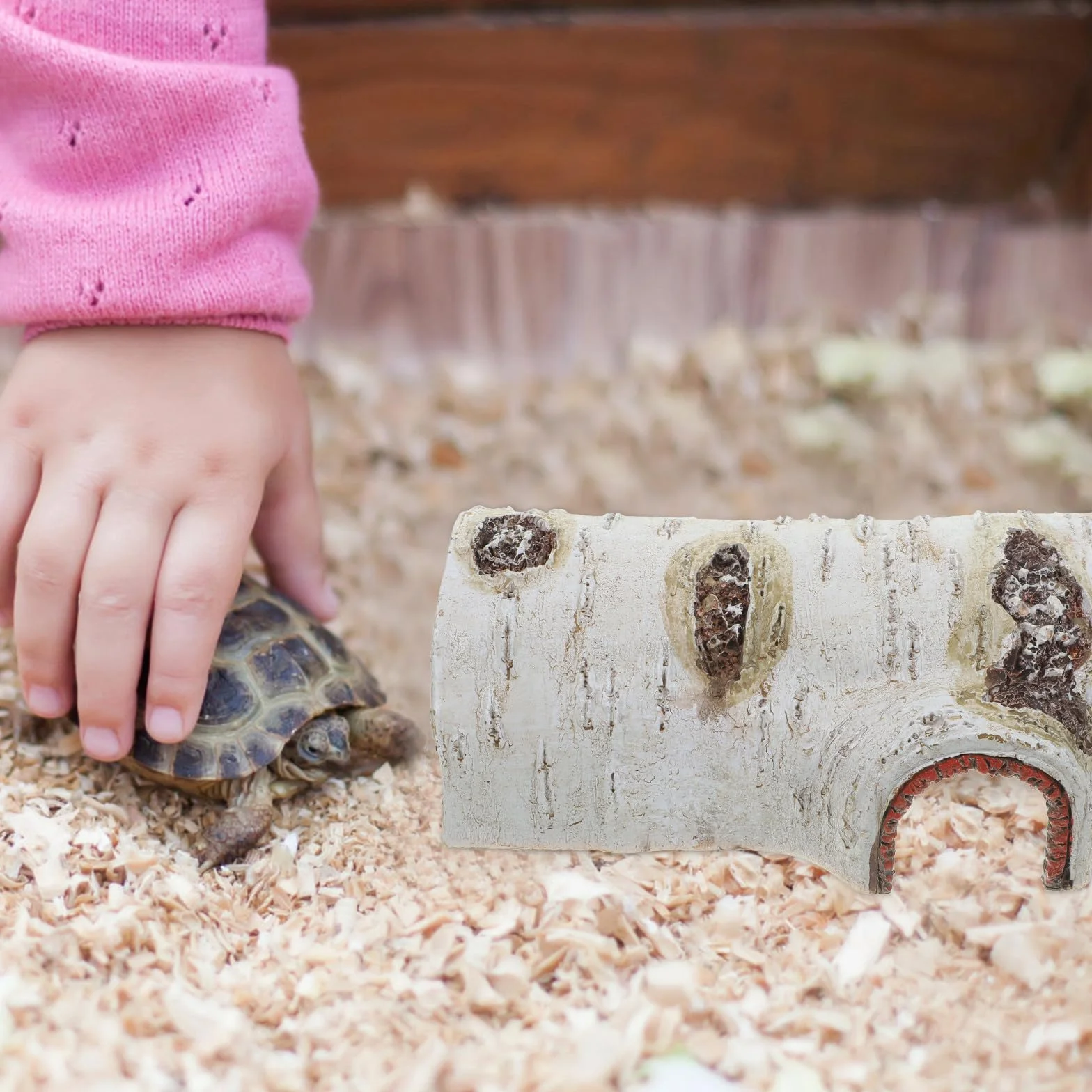 Maison Tortue Terrestre Exterieur Résine Naturelle Grotte Décorative Reptiles Abri Cachette Petits Animaux