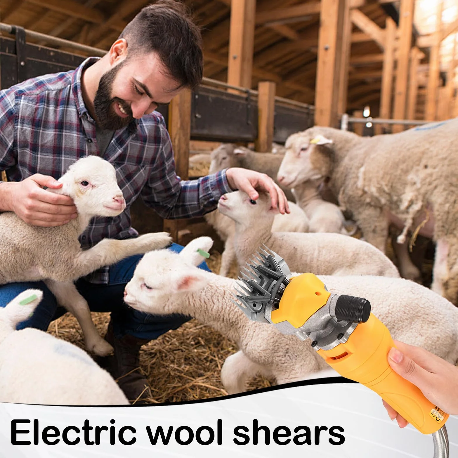 Tondeuse à Moutons 1000W Électrique, 13 Dents 2400 Tr/min, Cordon 2.8m pour Moutons Chèvres Alpagas
