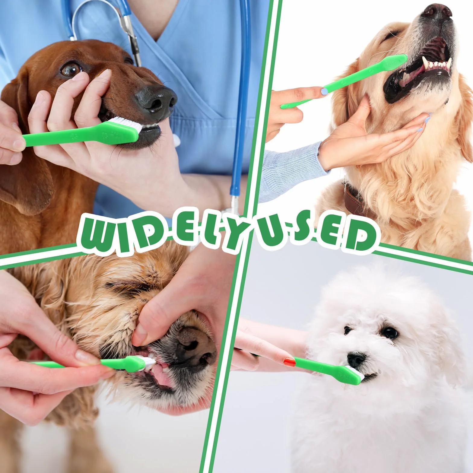 Gerrii Lot de 200 brosses à dents à double tête pour chien - Manche long - Poils doux - Brosse à dents pour chien et chat - Pour la plupart des animaux de compagnie - Nettoyage dentaire dentaire (vert