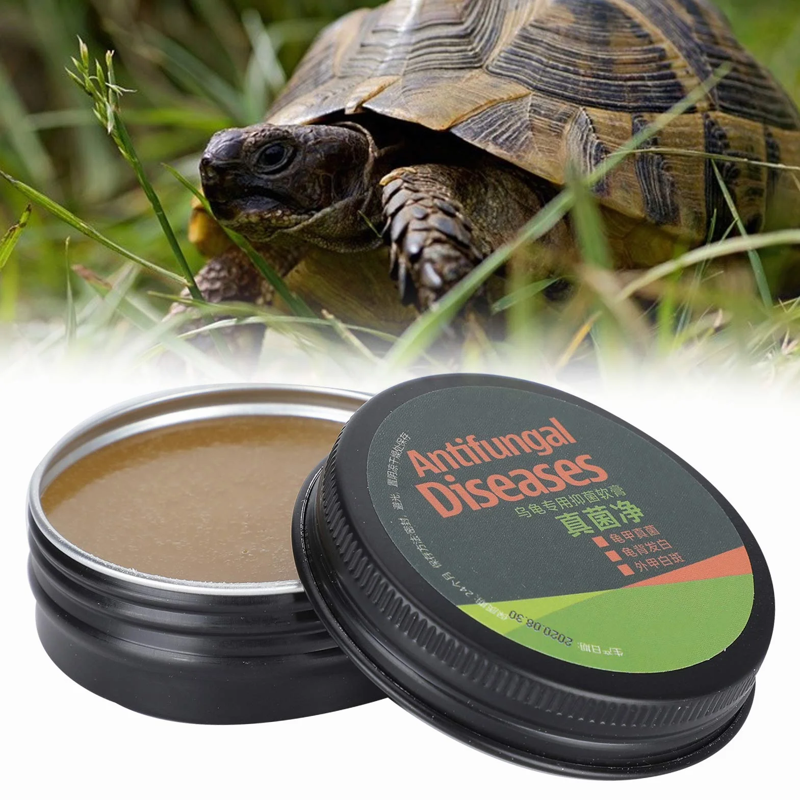 Crème de Soin de Tortue Pratique pour Protéger la Santé des Tortues de Compagnie