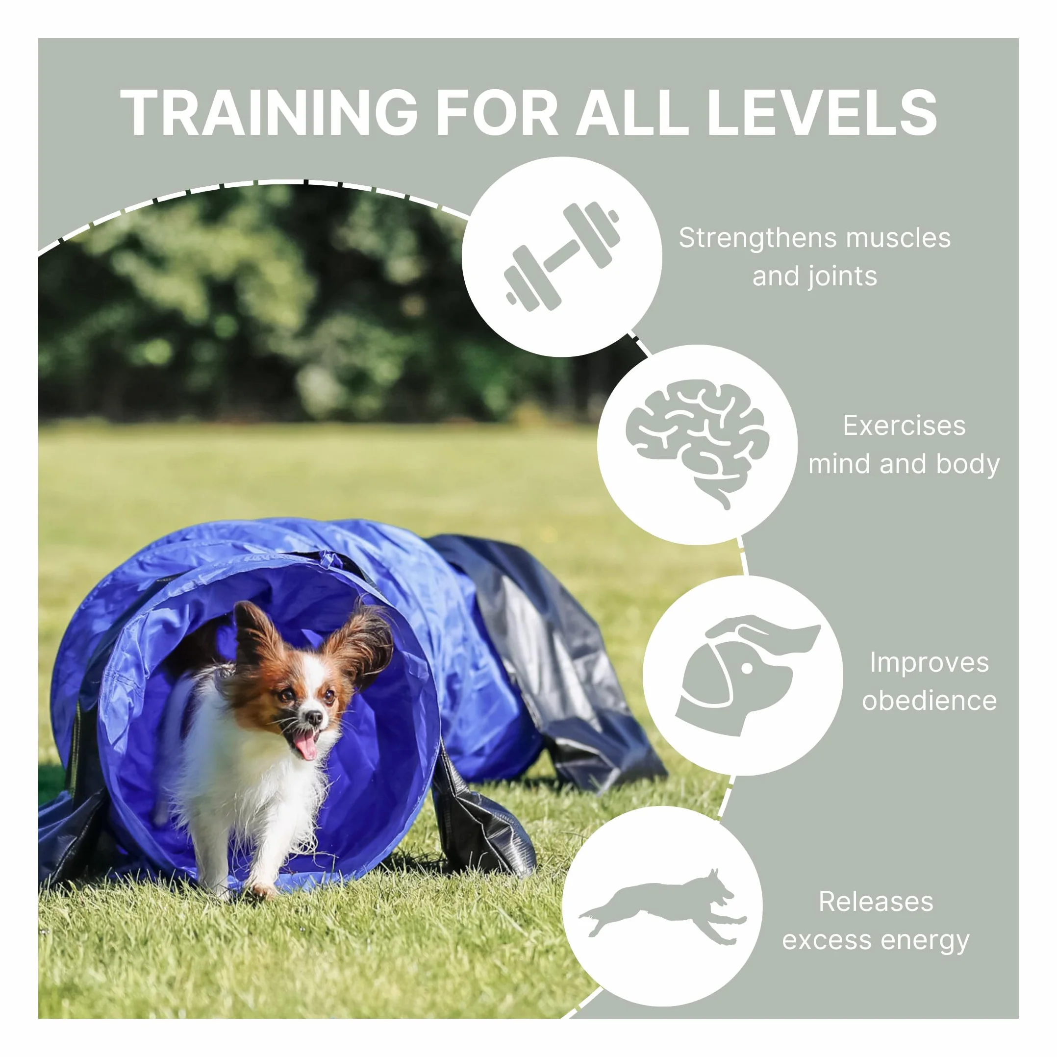 Trixie Dog Activity Tunnel Agilité 40 cm 2 m Bleu