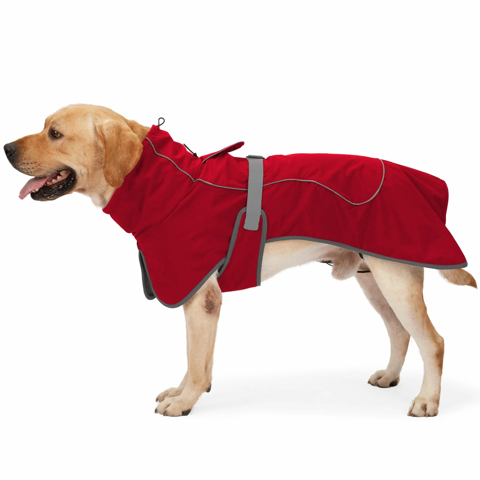 HEYWEAN Manteau Imperméable Réfléchissant pour Chien avec Doublure Polaire