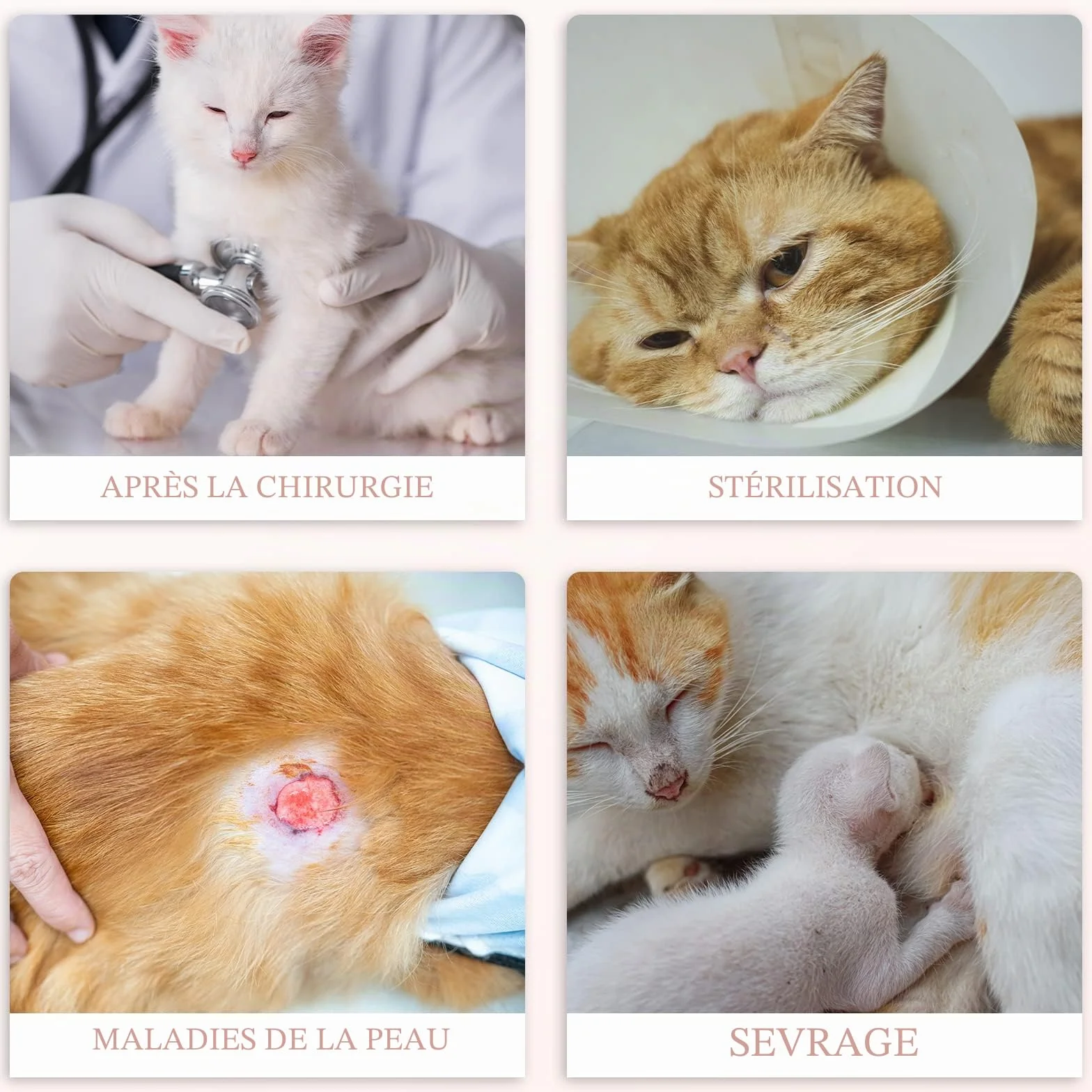 Lot de 2 Combinaison pour Chat Plaies Abdominales, Gilet de Récupération et de Protection Respirant, Idéal Après Chirurgies (Alpaga+Bonbons, M)