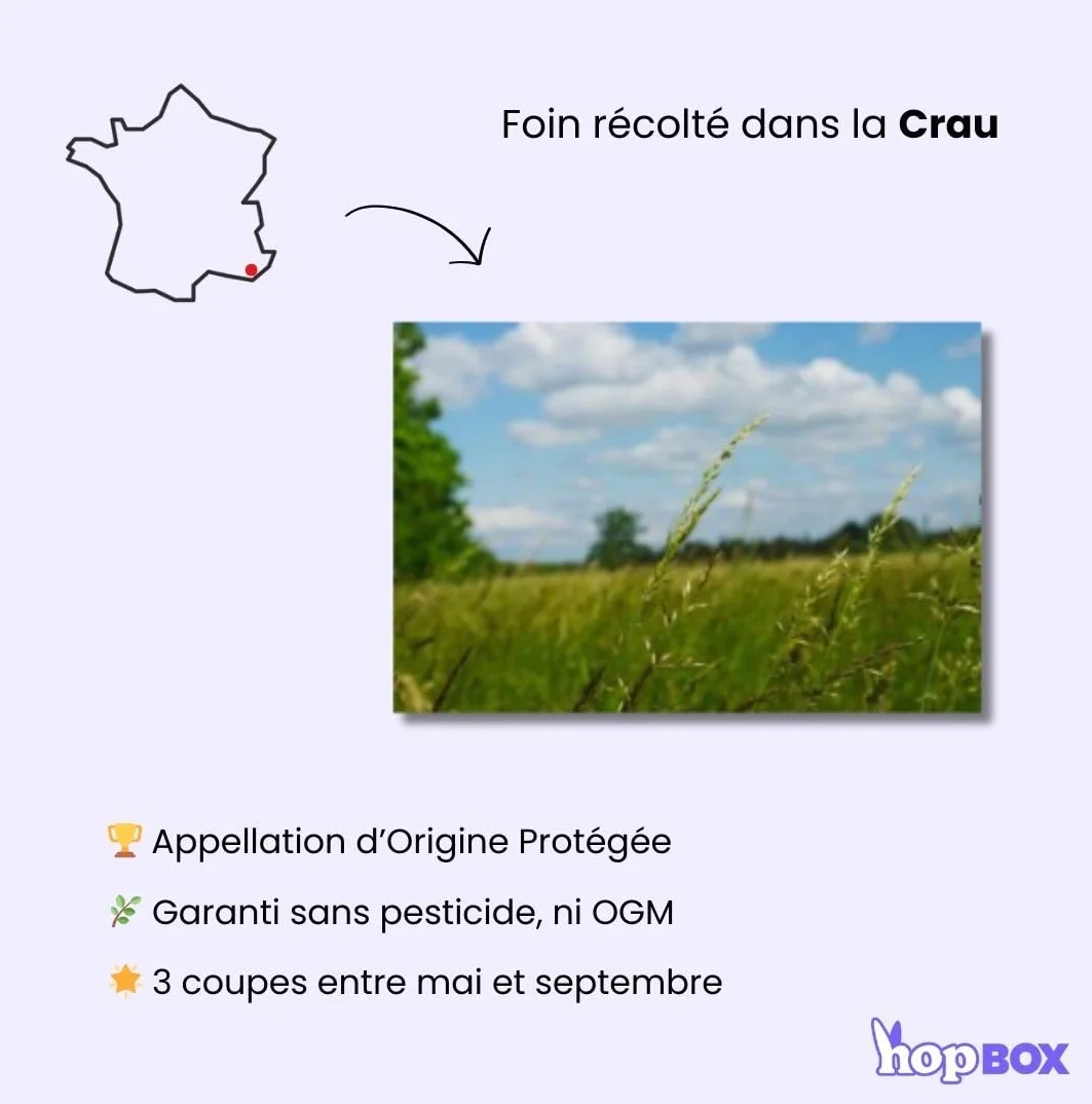 Foin de Crau AOP 1KG Mas de l’Aqueduc Nourriture Naturelle pour Lapin et Rongeur Riche en Fibres France