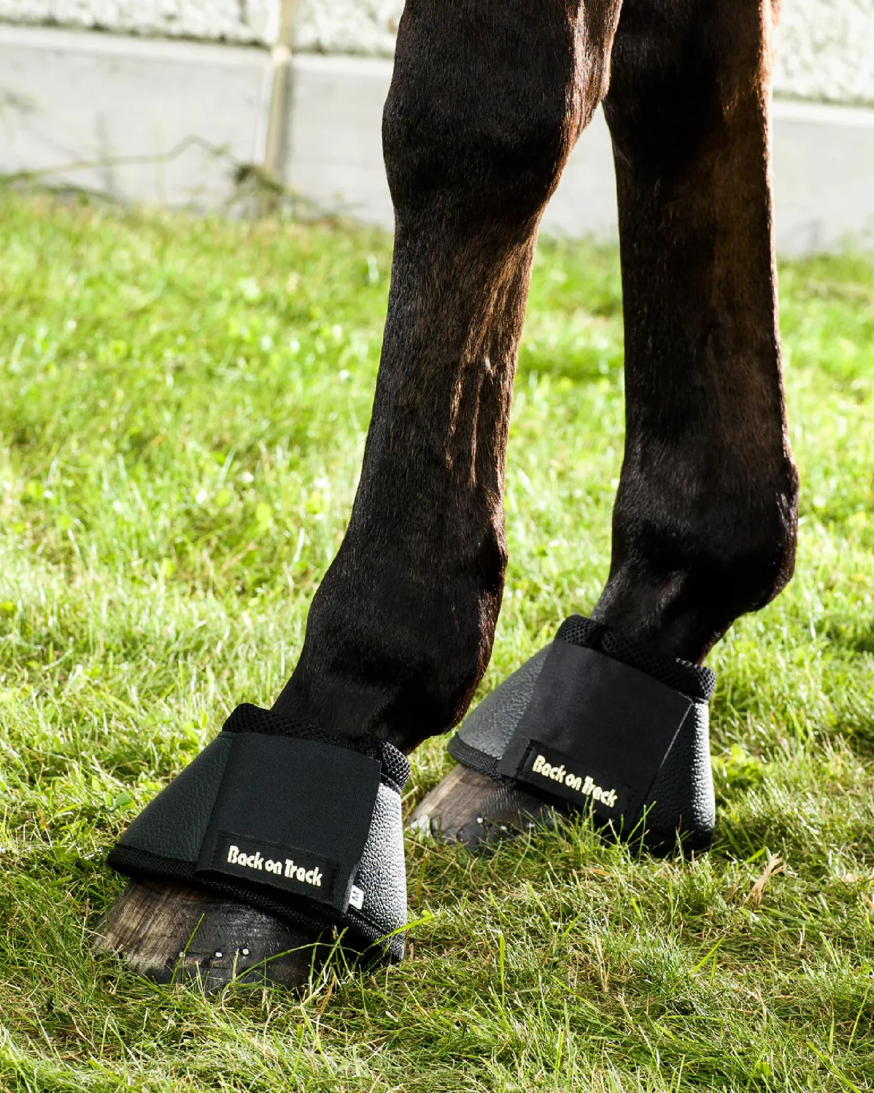 Back on Track Cloches pour sabots noires