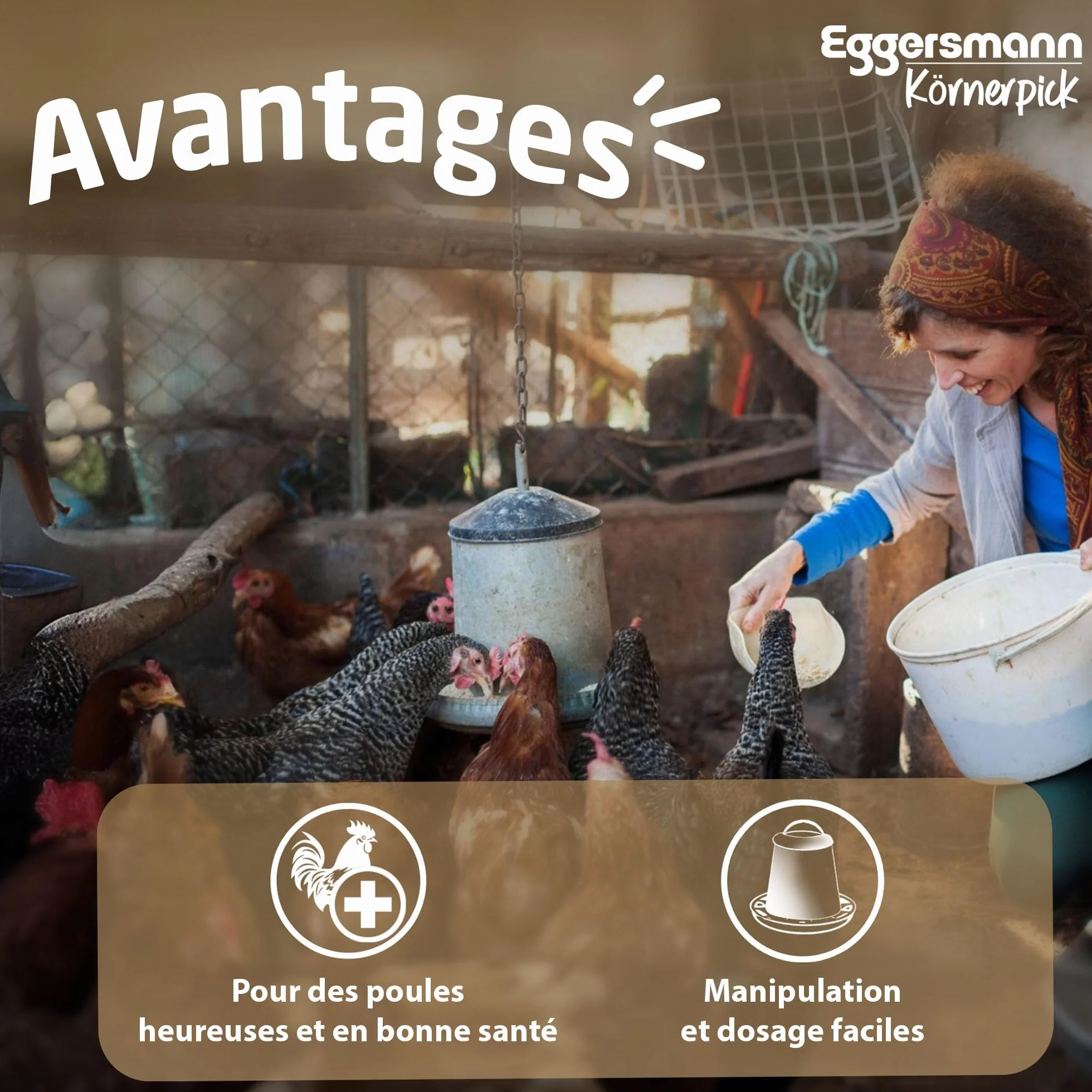 Eggersmann Nourriture Poule 25 kg Basic Aliments Graines Premium pour Poules, oies & canards