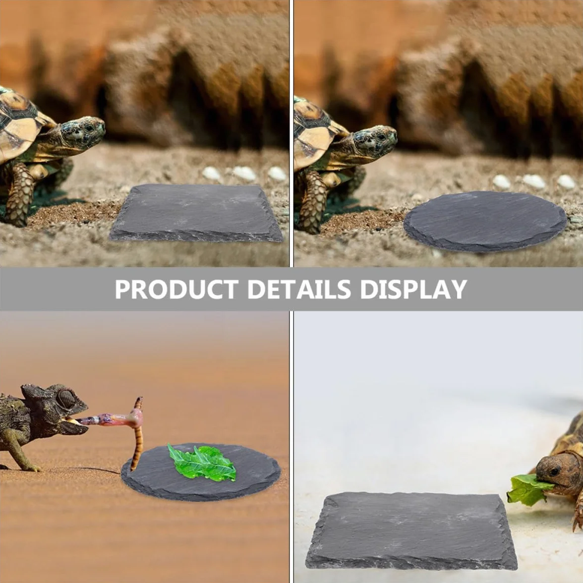Lot de 2 Plateformes en Pierre pour Tortues, Ardoise Naturelle 10x10 cm, Accessoire Terrarium Reptile