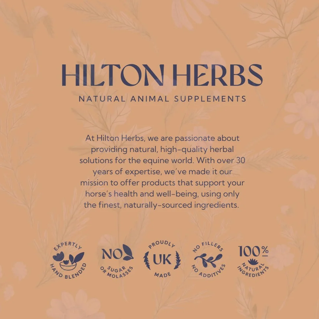 Hilton Herbs Releaf Gold 1 L Complément Alimentaire Cheval Anti Inflammatoire