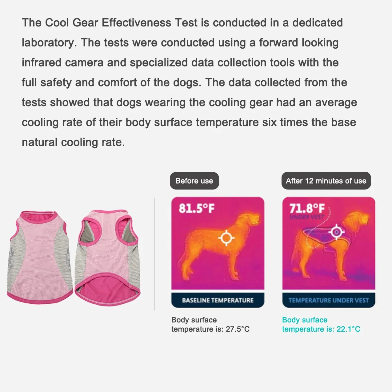 Gilet rafraîchissant pour chien avec protection UV et bande réfléchissante, veste respirante été